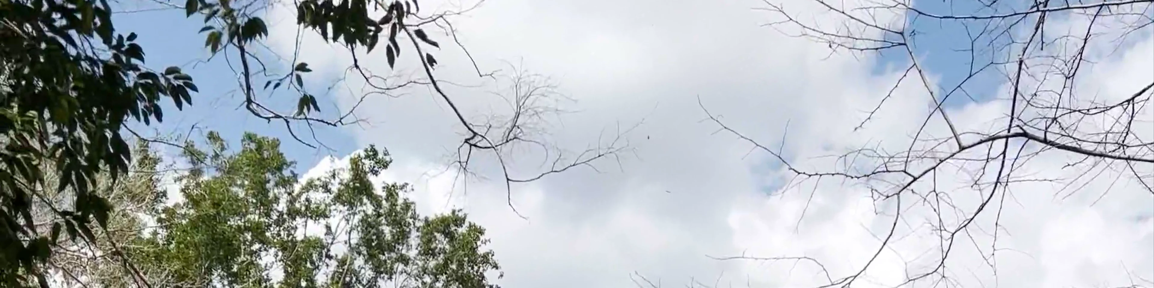 Estructura 3 Calakmul