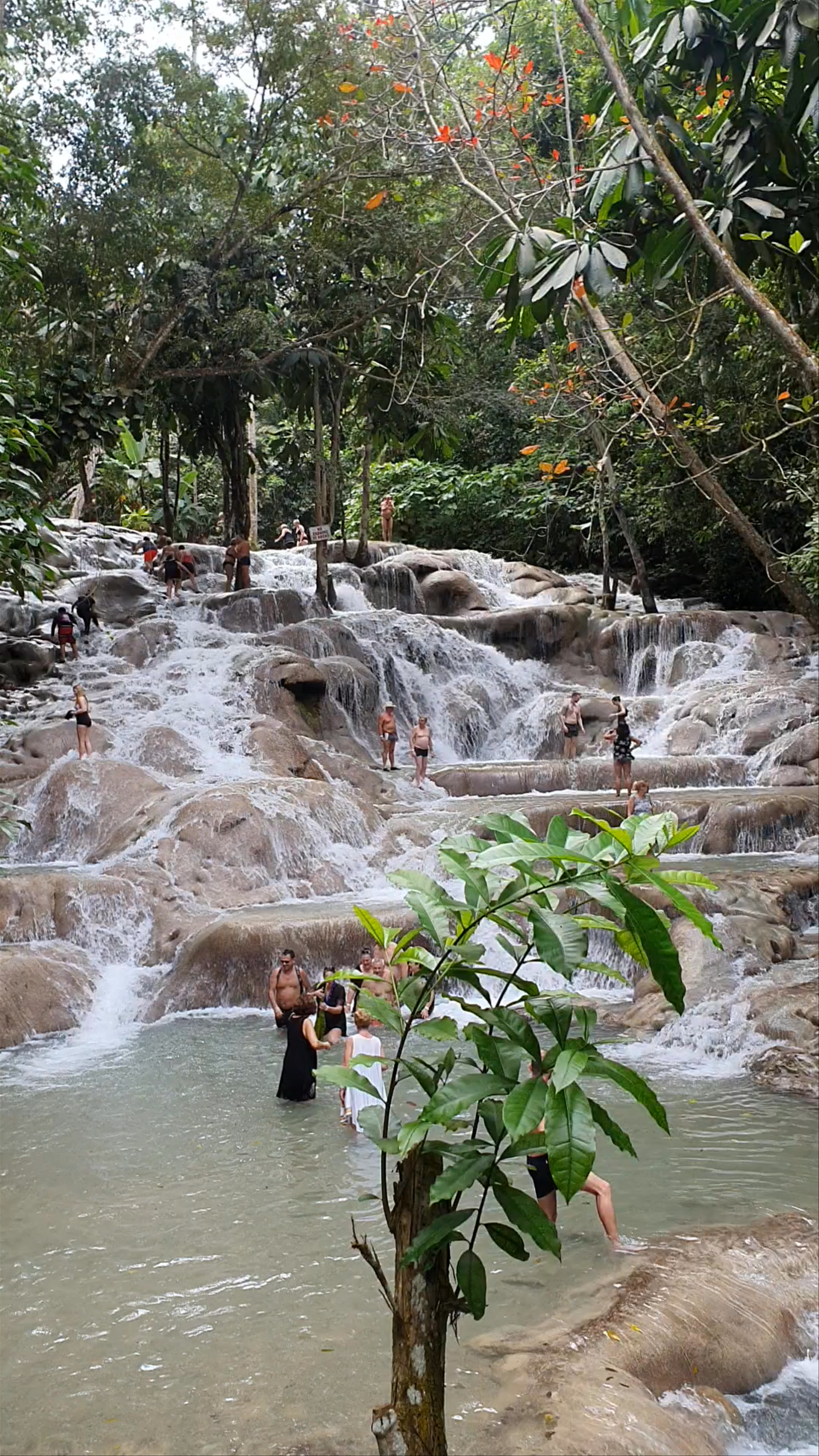 Dunn's River Falls Adventure in Ocho Rios, Jamaica