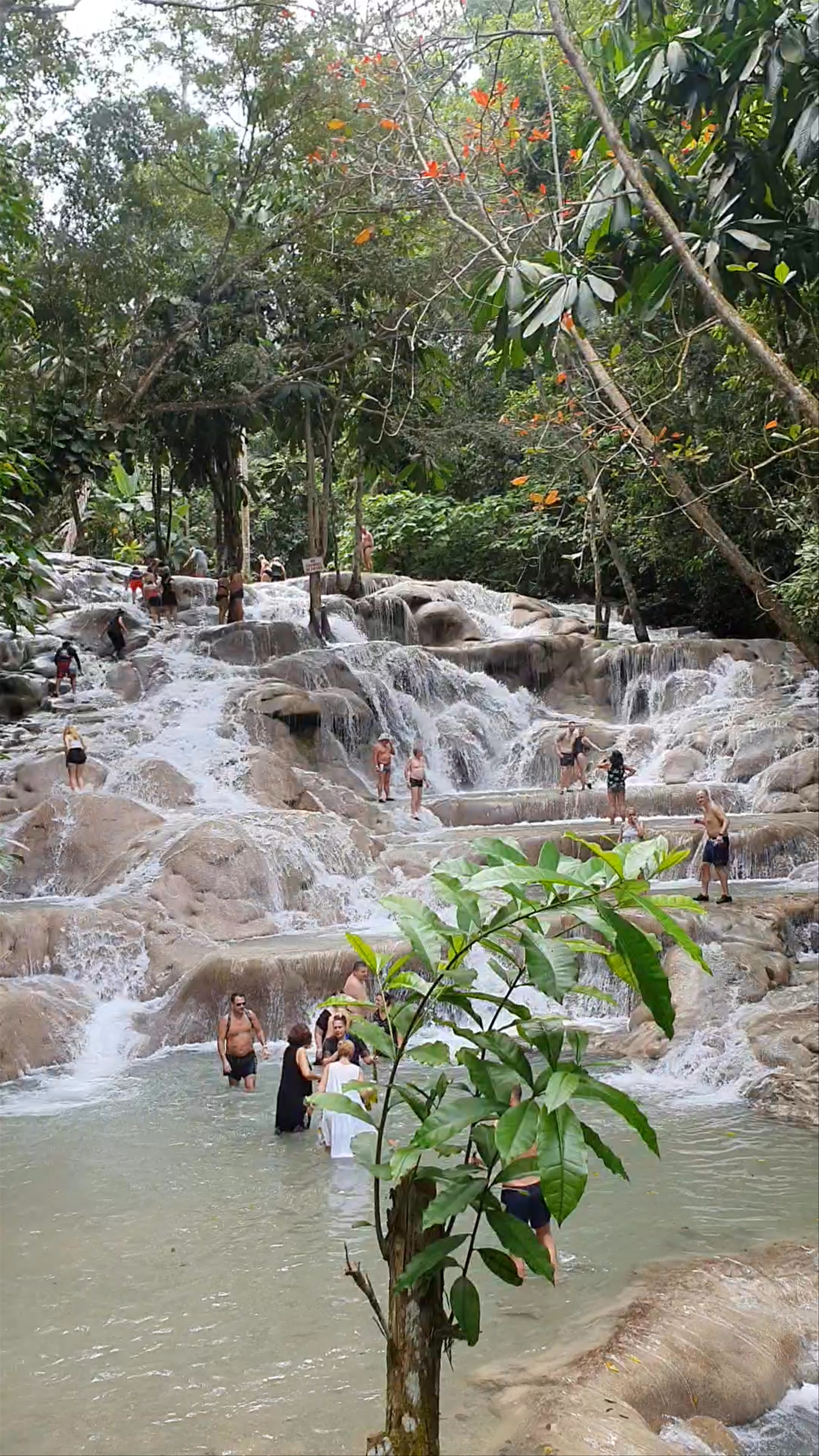 Dunns River Falls