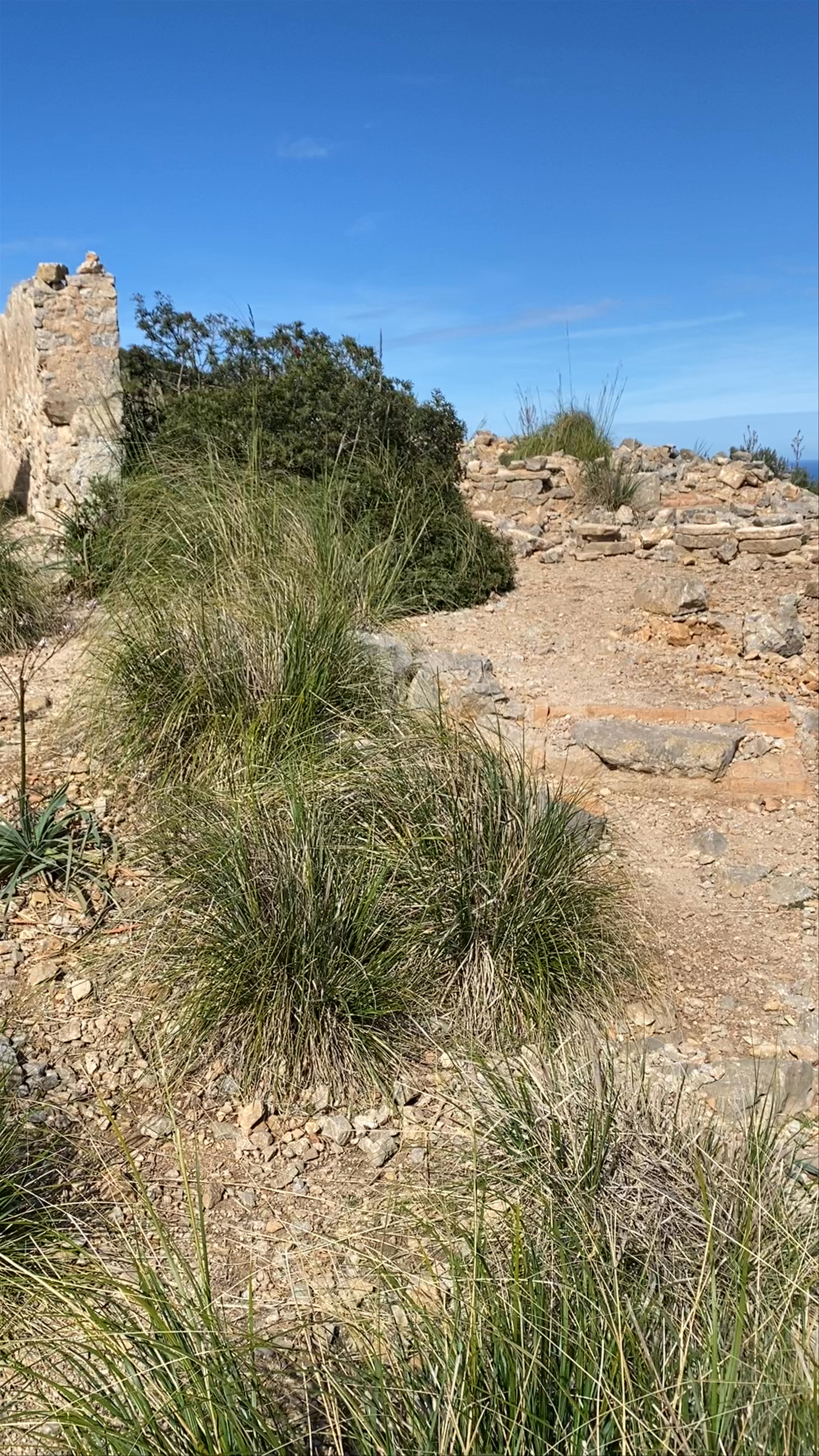 Ruinas de Colomer