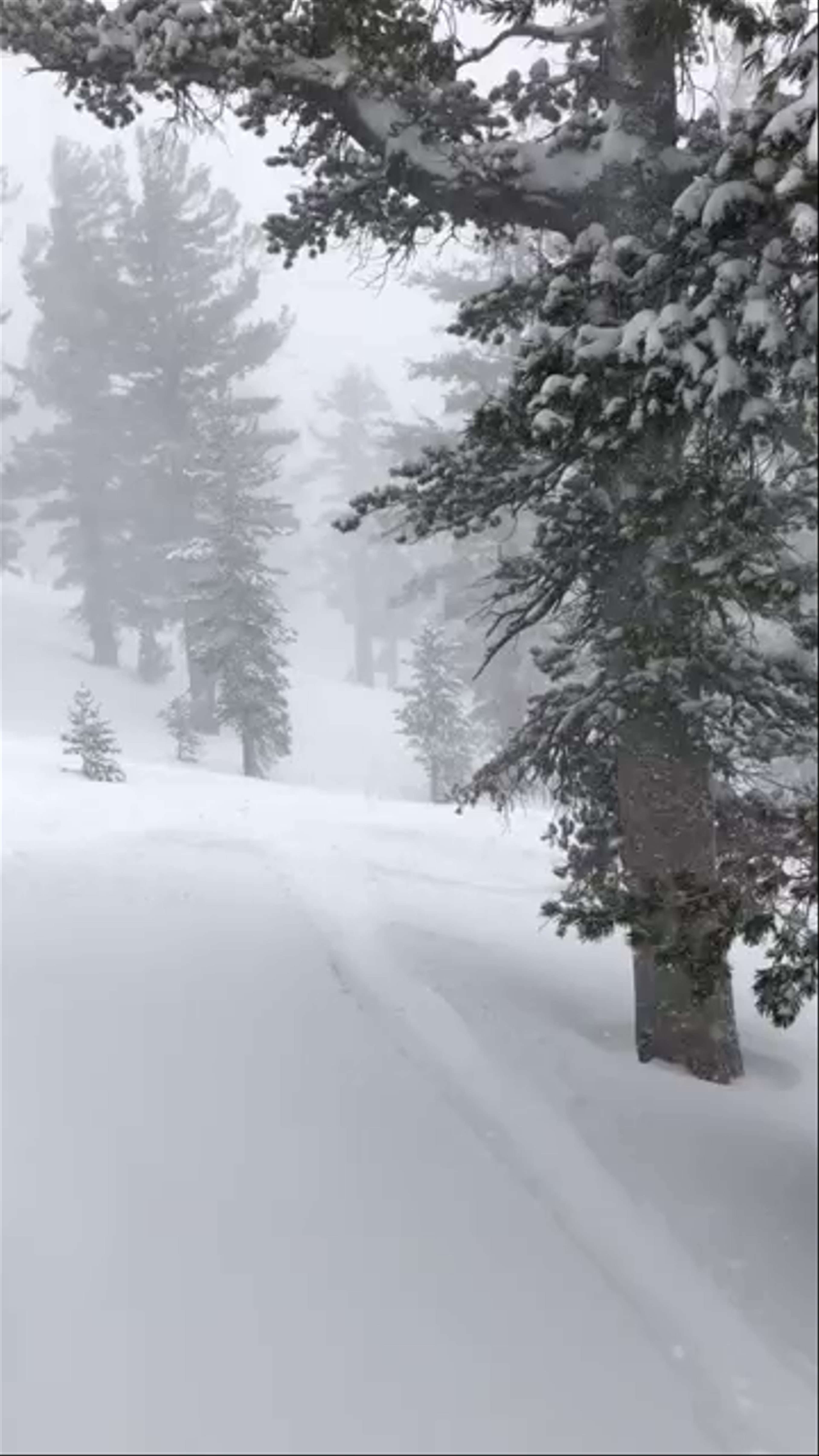 Heavenly Mountain Resort - California Lodge