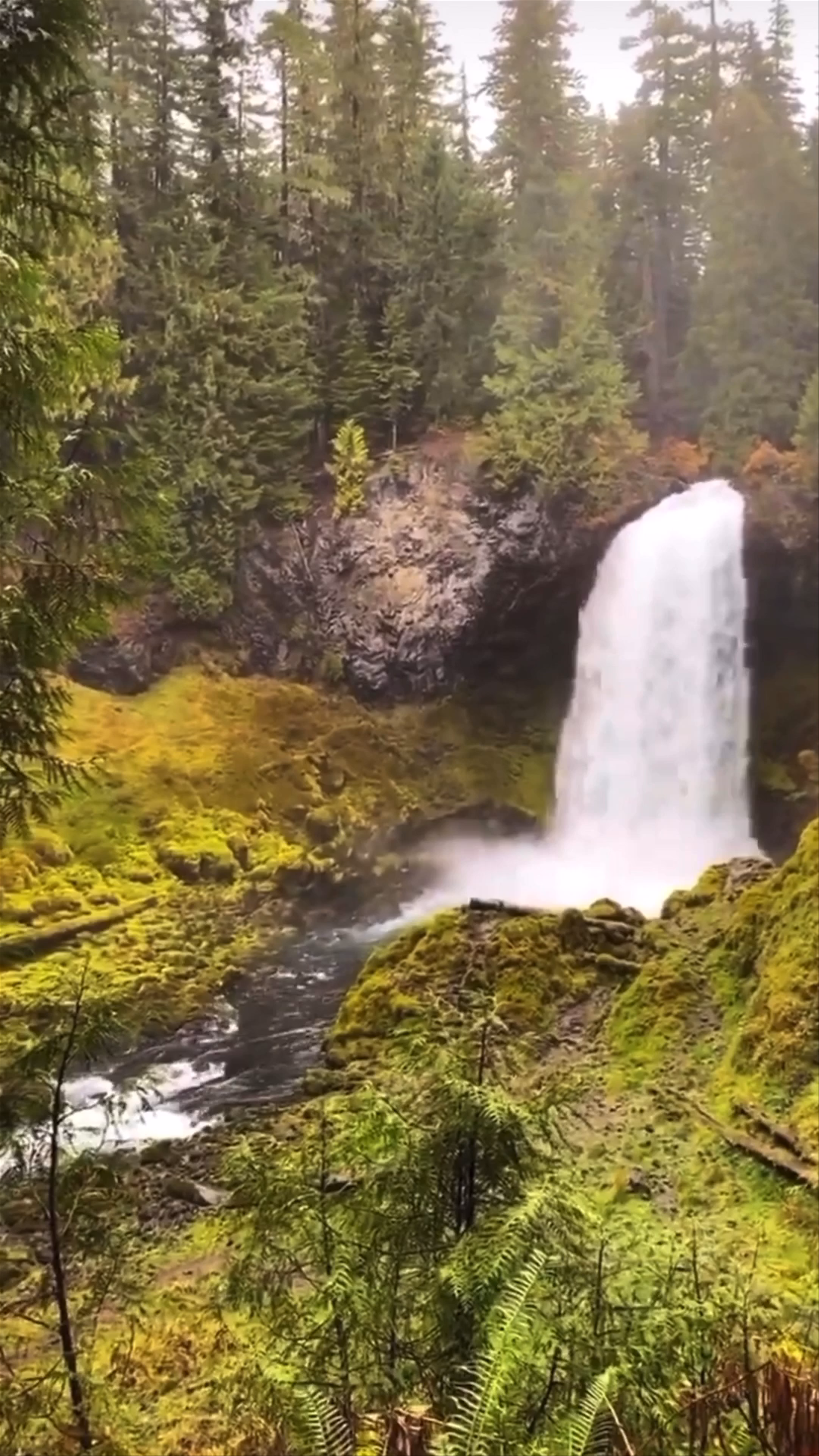 Silver Falls State Park