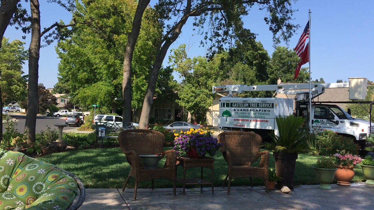 Gastelum Tree Service - Tree Services Near Me - Dixon, California
