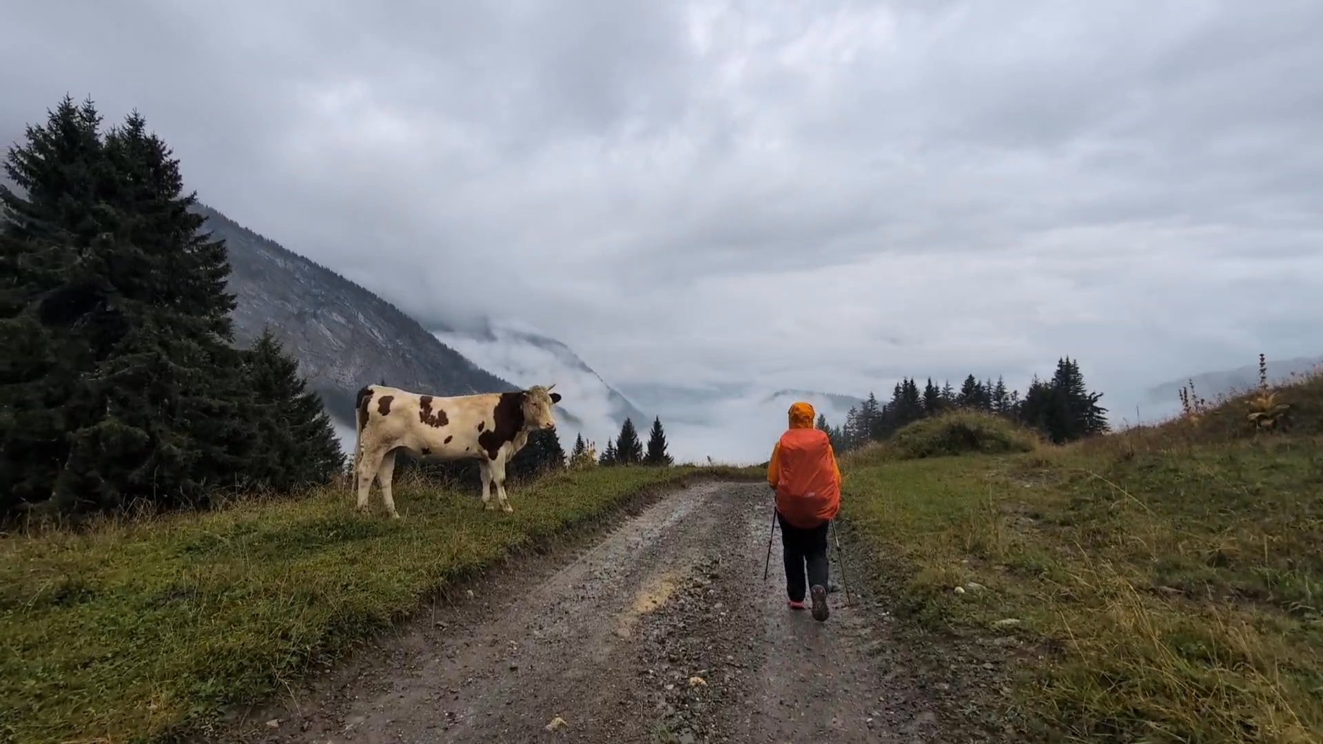 GR 5 Part 1 - Day 5 photo 3