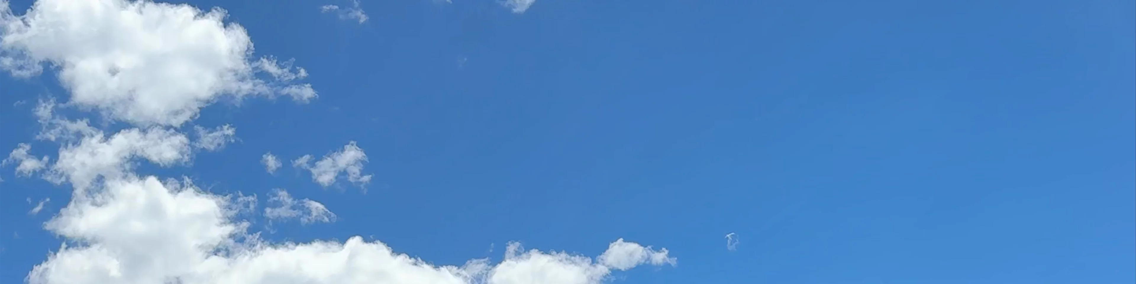 Vaquería