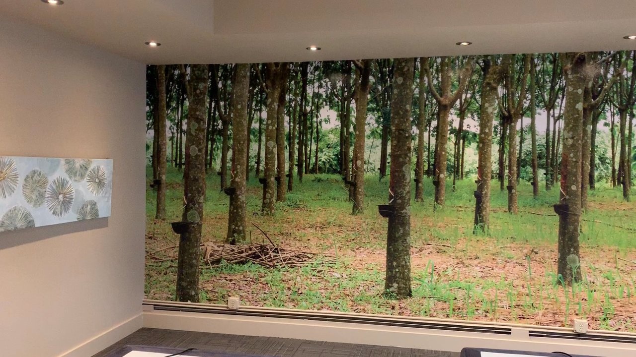 SignDog NW - Video of interior wall wrap for local furniture company. - Signmaking Near Me - Anacortes, Washington