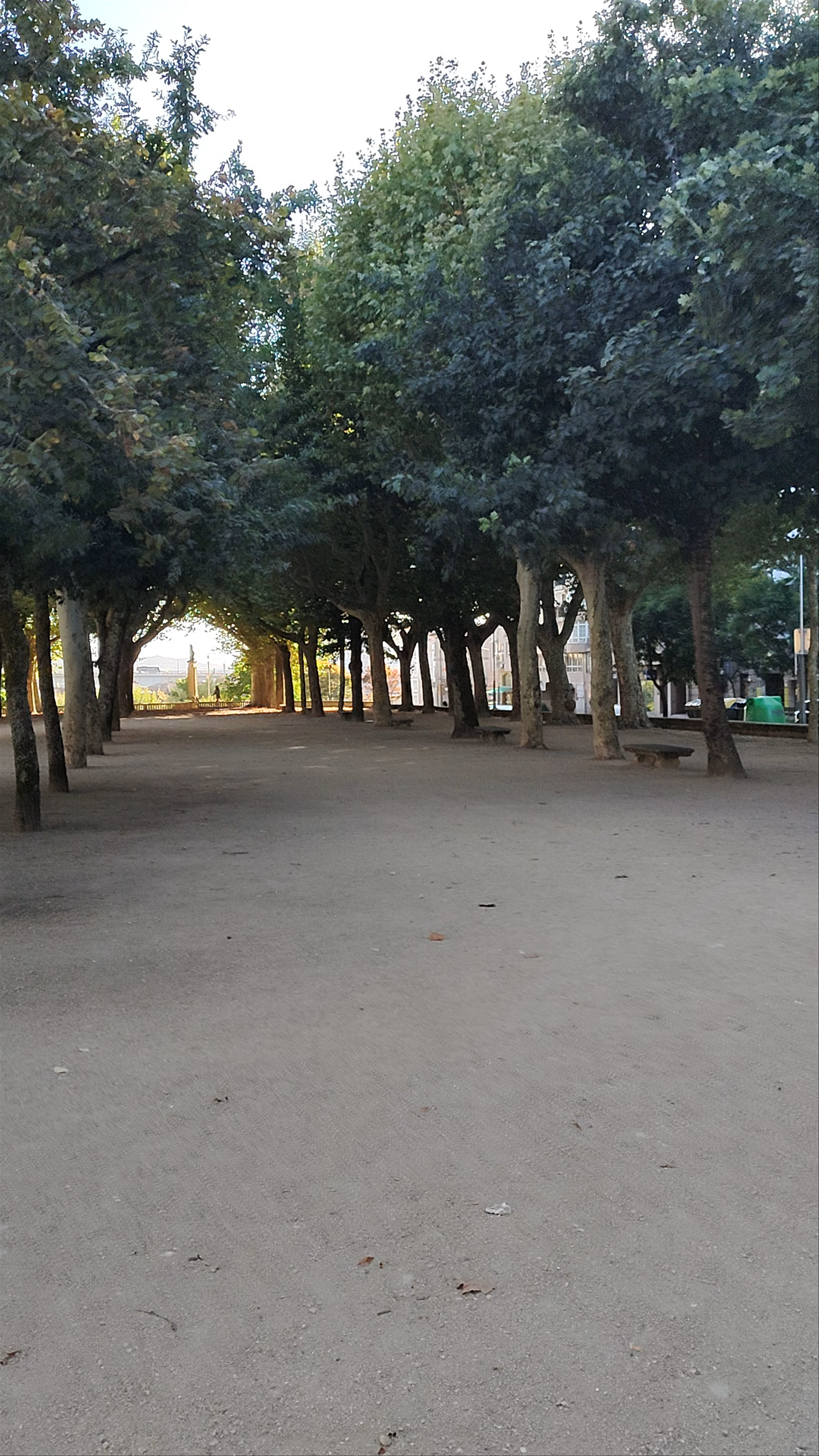 Evening Stroll Through Alameda de Pontevedra, Spain