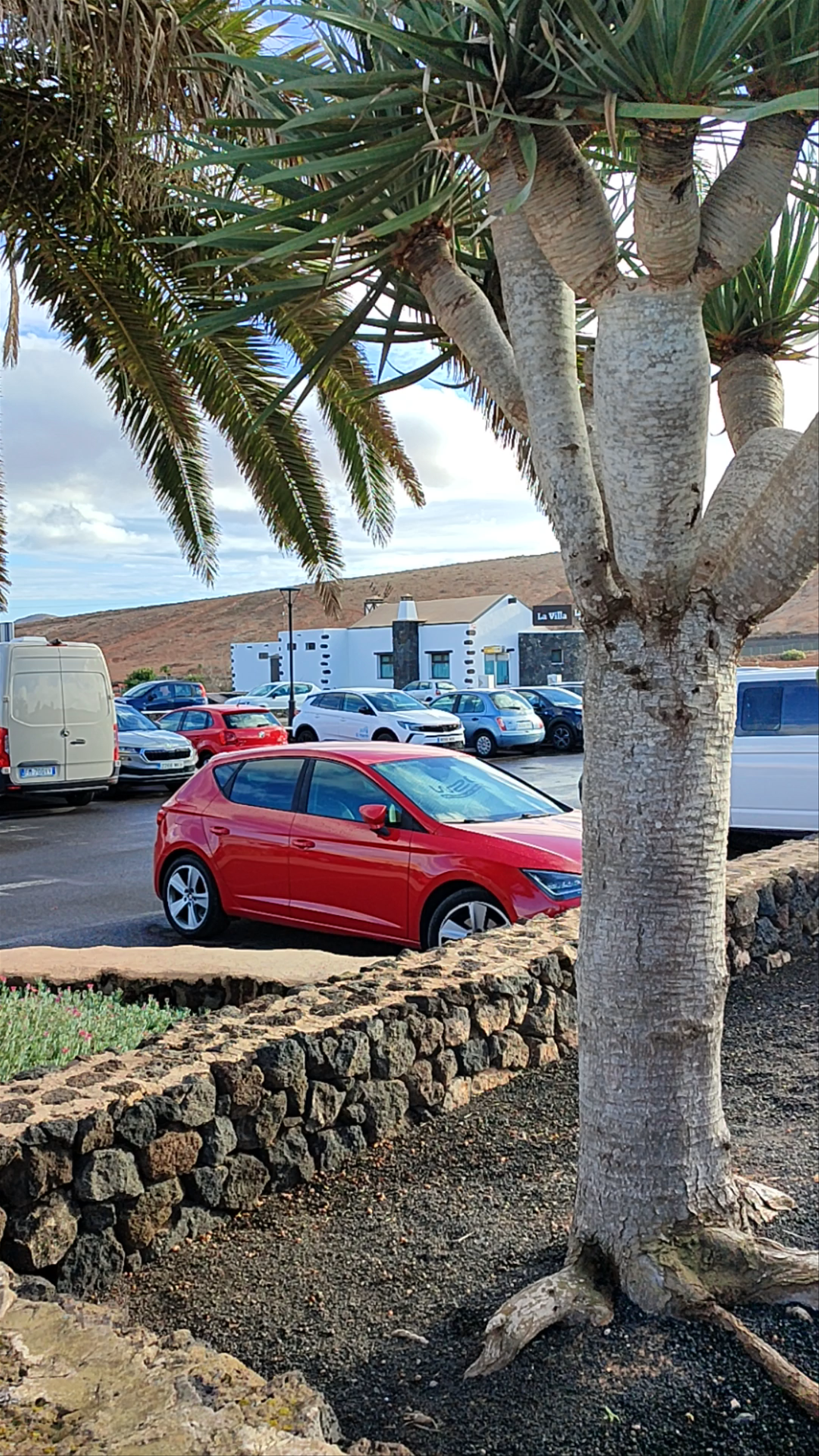 Restaurante Mahoh in Villaverde, Canarias - A Serene Natural Escape