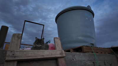 L'heure de quitter San Pedro