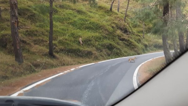 Photo of Found this pair of F