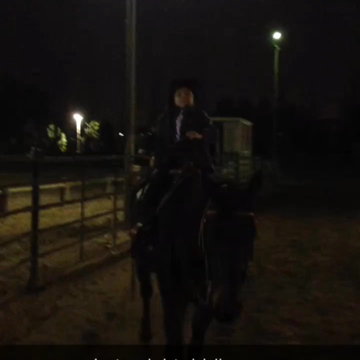King Performance Horses - Bella loves Chocolate - Horseback Riding Near Me - Brea, California
