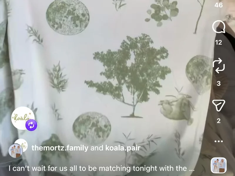 Koala Pair Collaboration