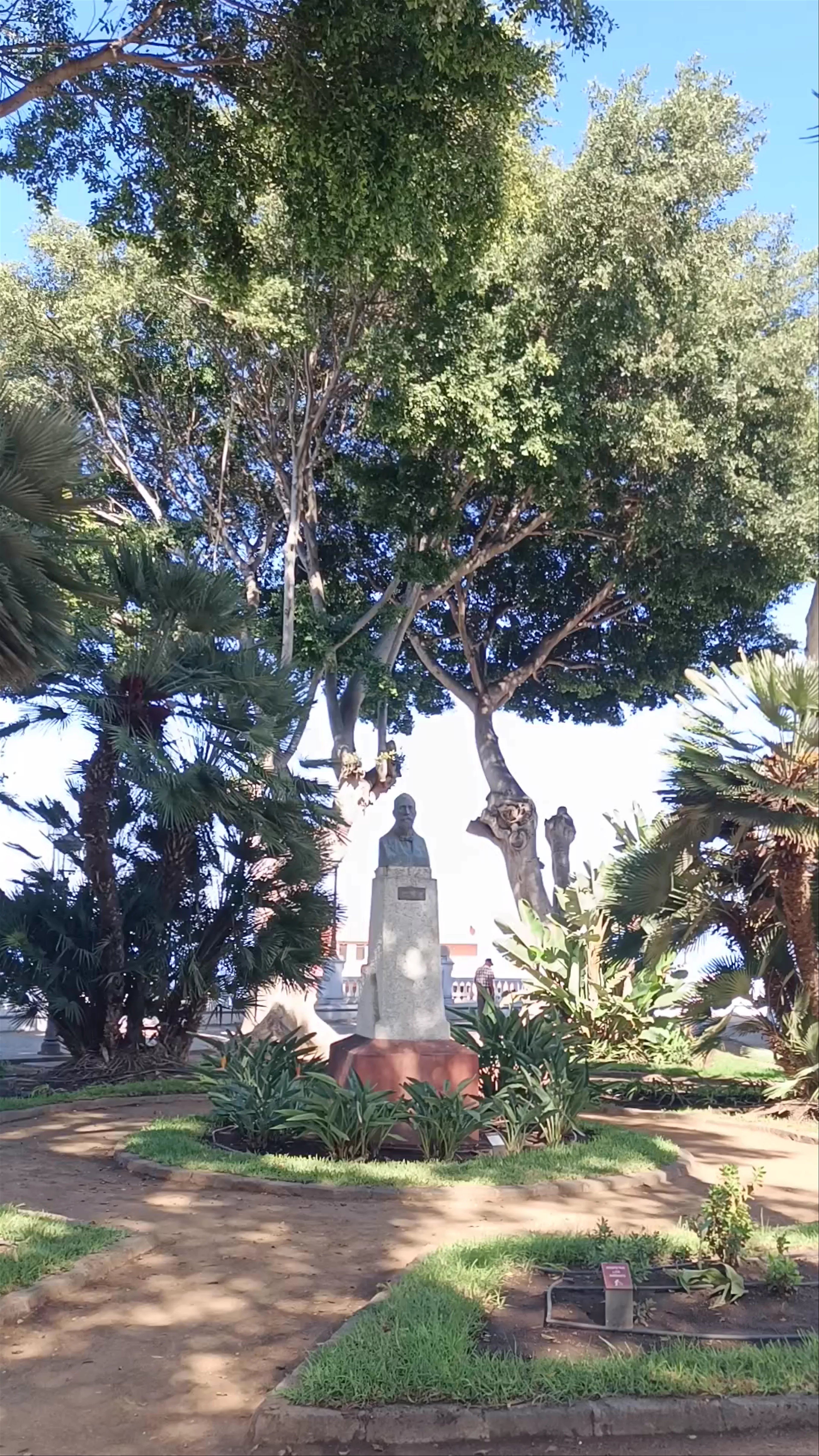 Plaza Andrés de Lorenzo Cáceres, Calle San Sebastián, Icod de los Vinos