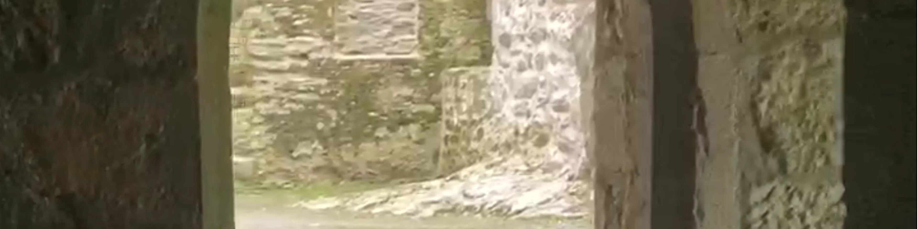 Muckross Abbey