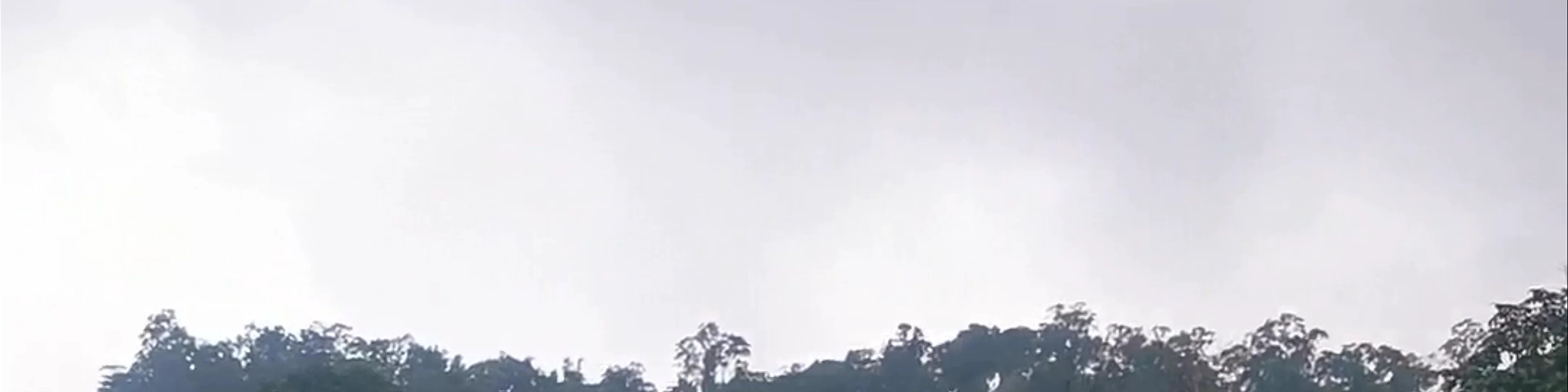 Mondulkiri Project Elephant Sanctuary