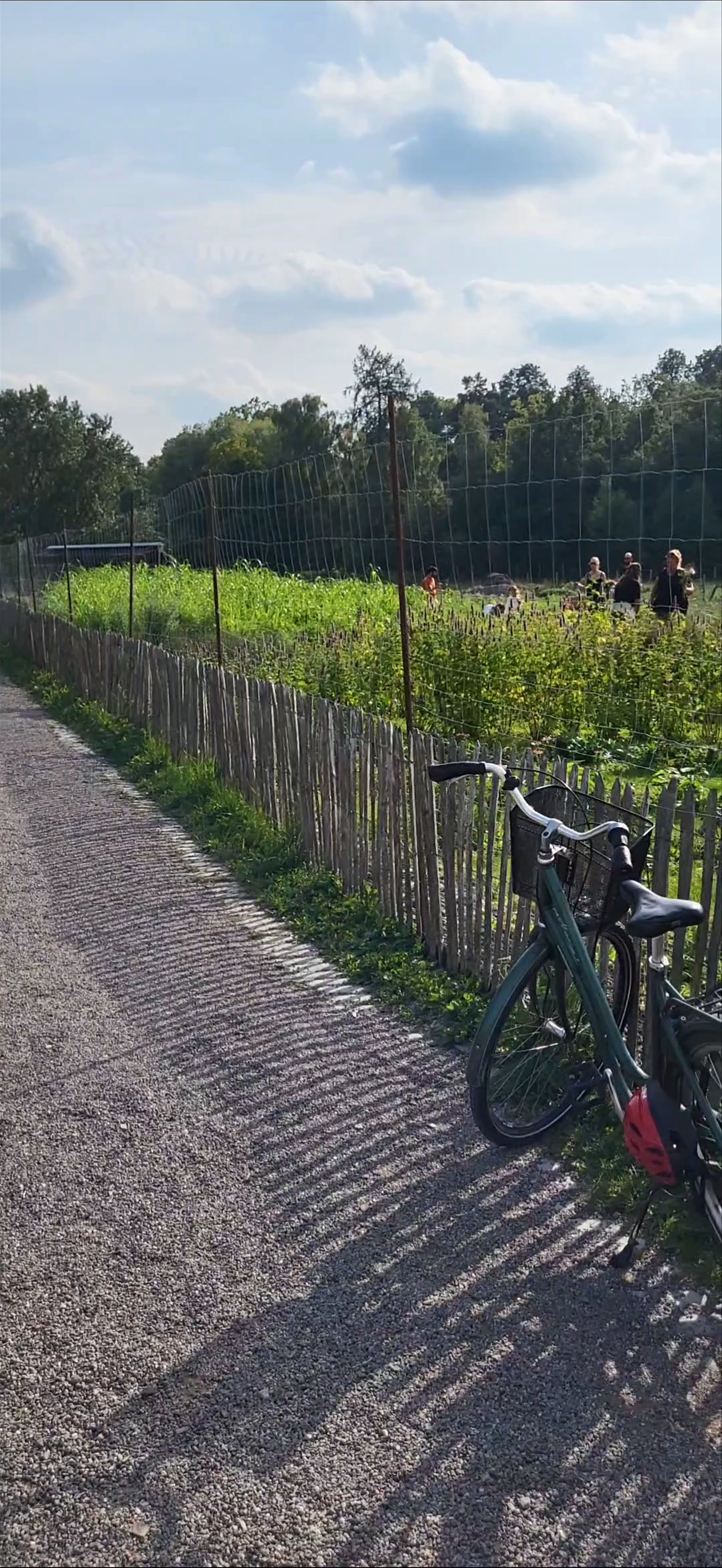 Rosendals Trädgård