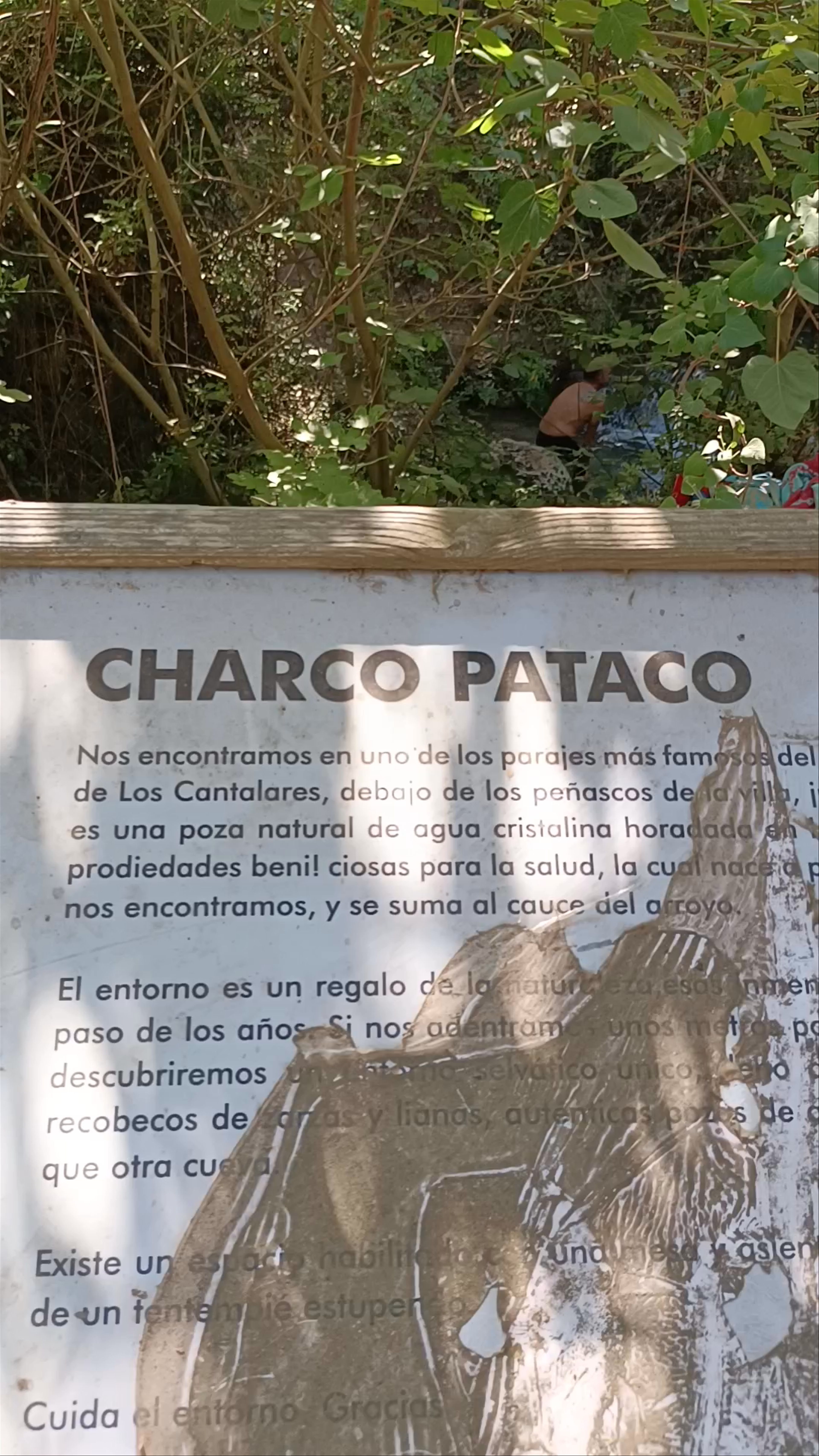 Charco Pataco: A Refreshing Natural Oasis in Letur, Spain