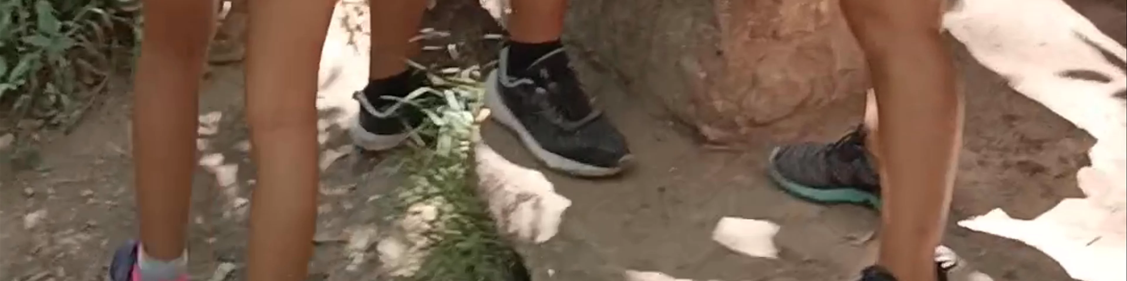 Charco Pataco
