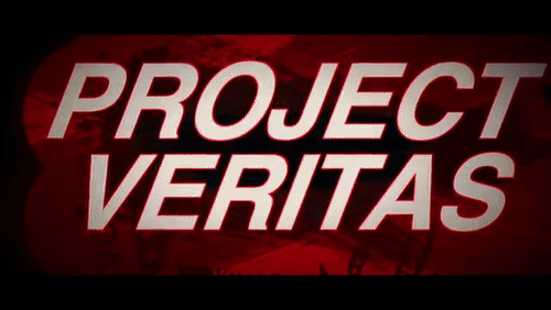 Video Thumbnail Loop