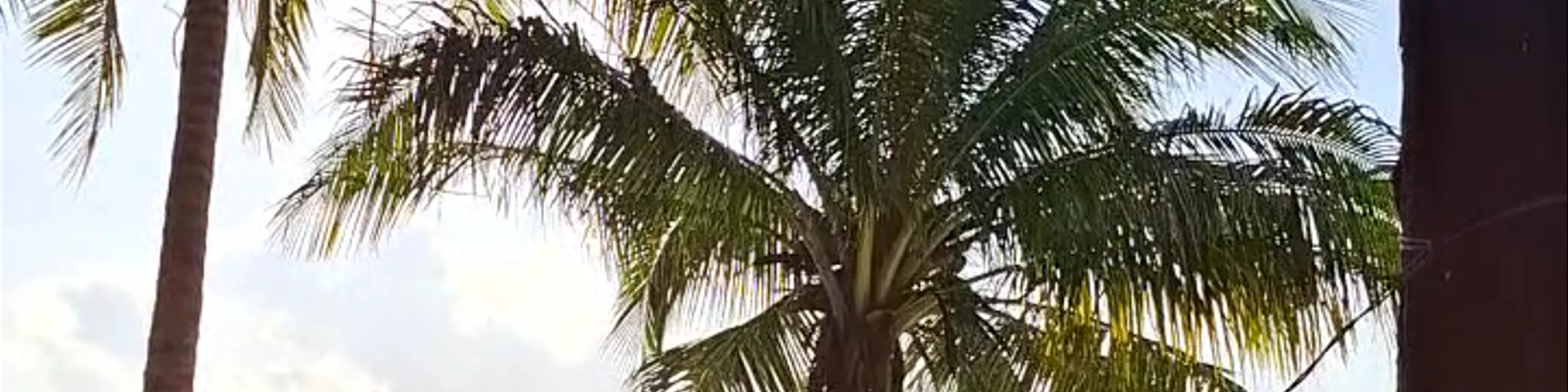 Balabac Island