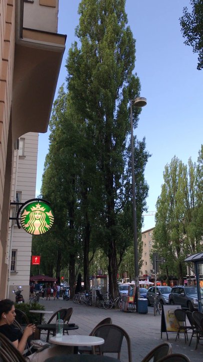 Leopoldstraße - Local Flavor Near Me - Munich, BY