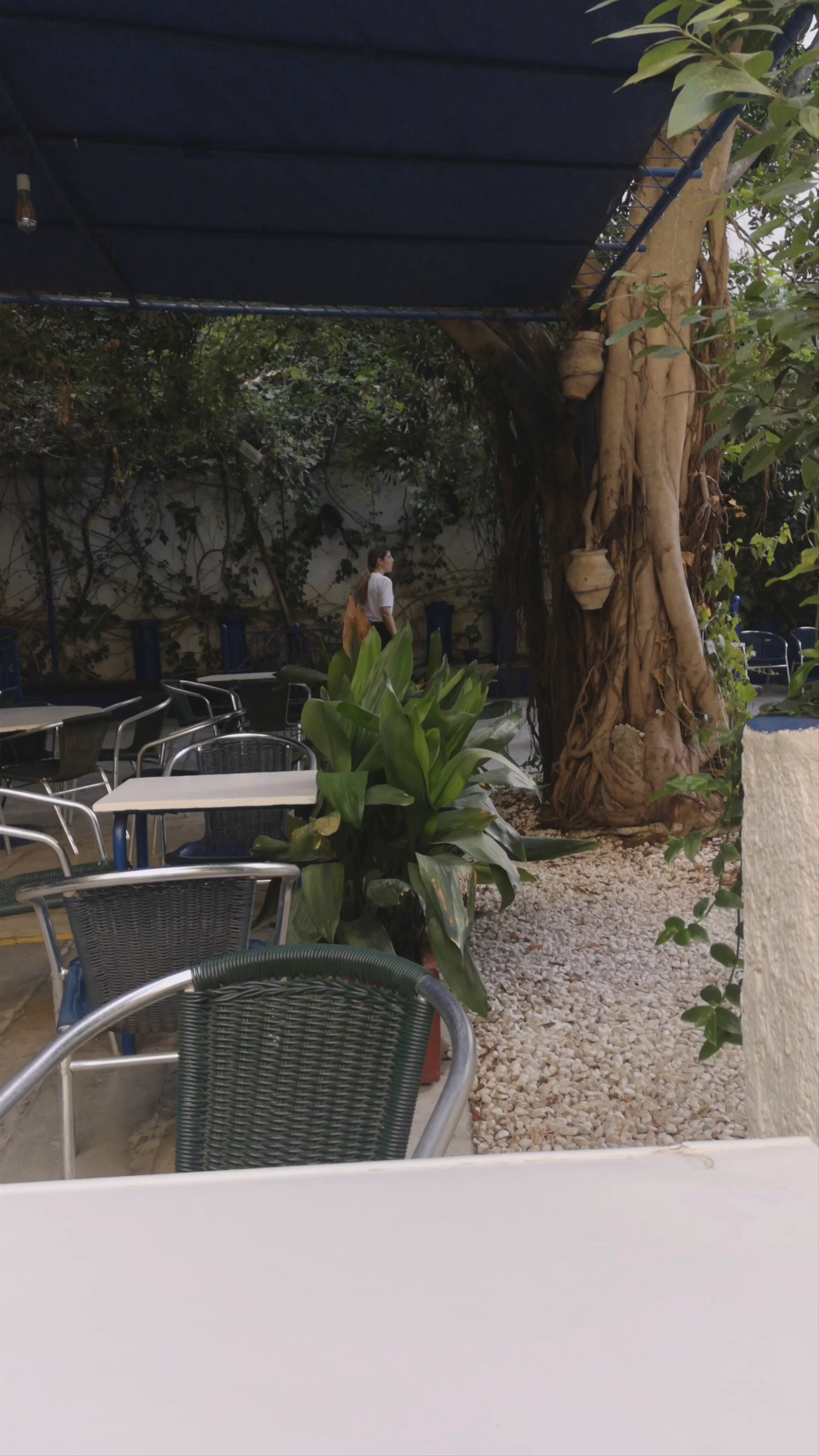 La Carbonería, Calle Céspedes, Seville