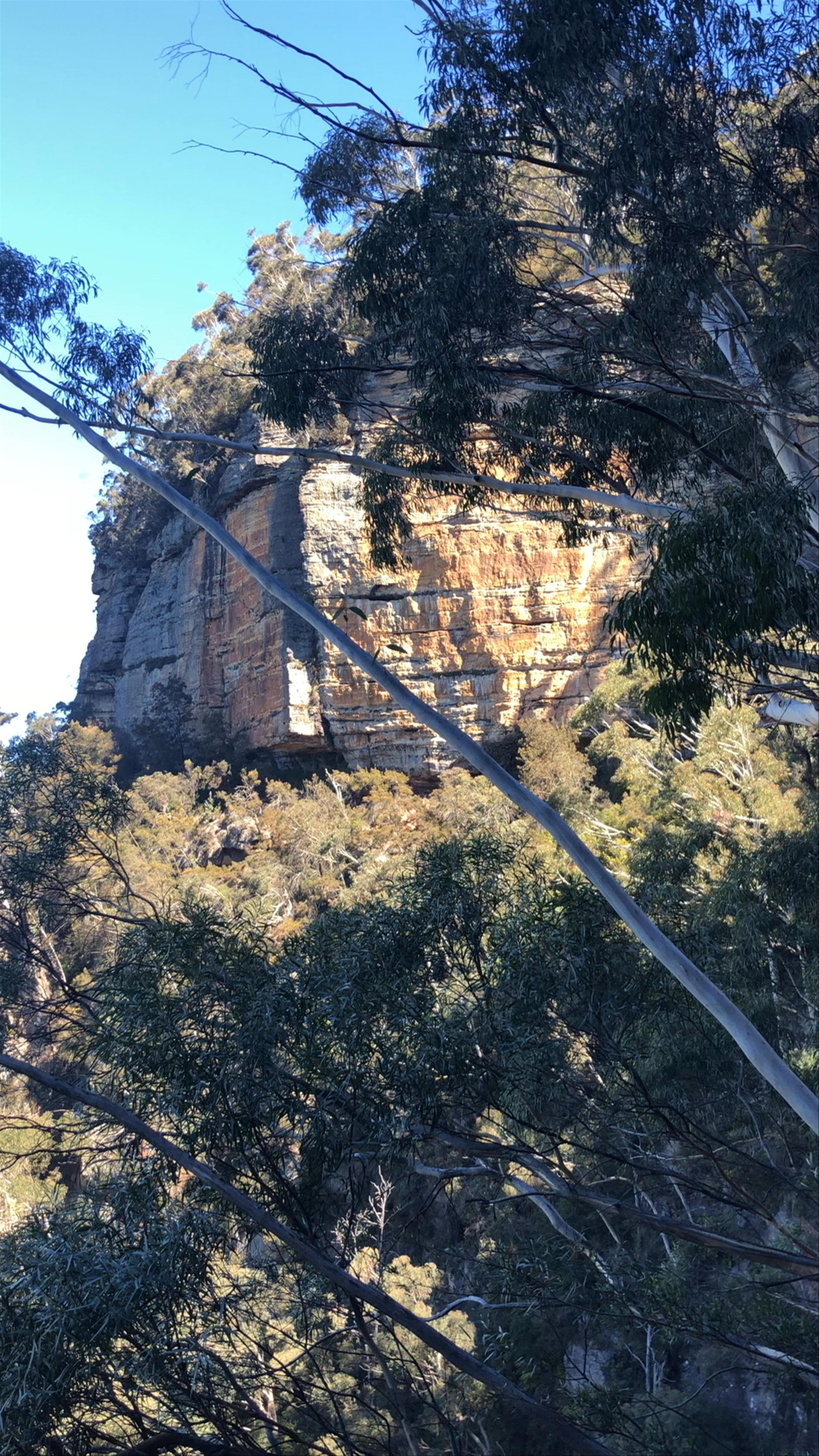 Ruined Castle Walking Track in Blue Mountains National Park
