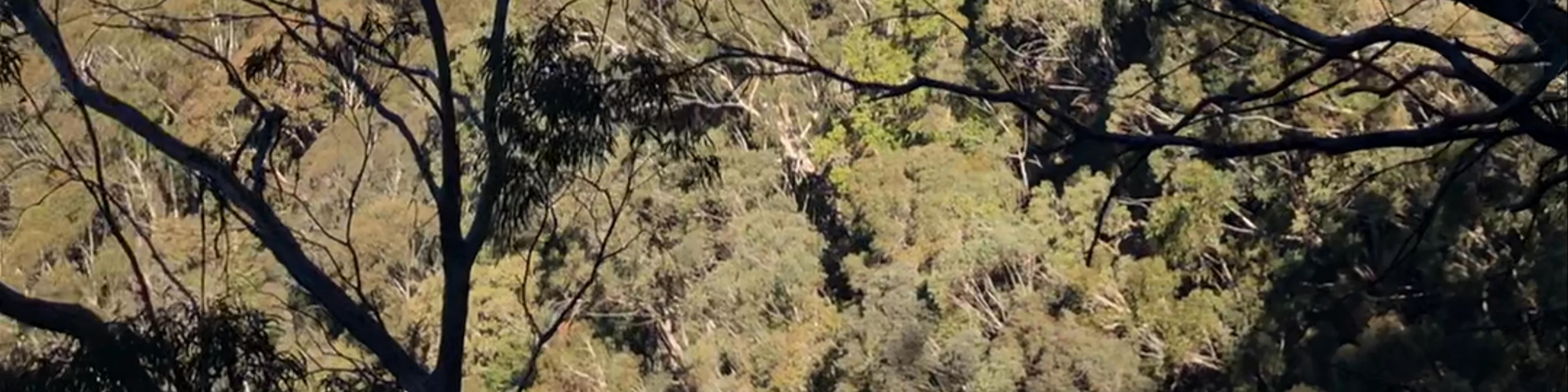 Ruined Castle walking track