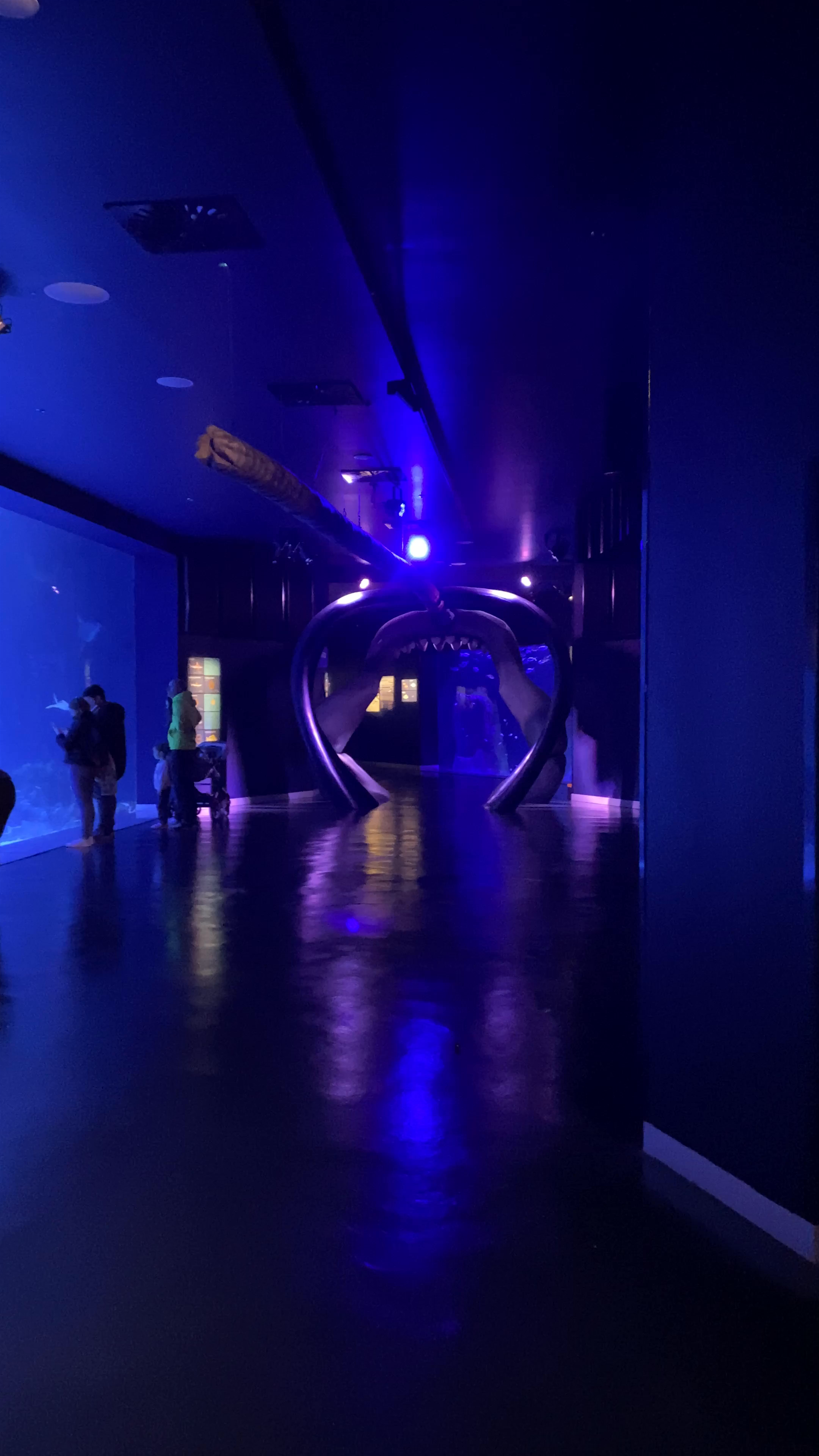 Aquatic Wonders at Atlantis Aquarium Madrid