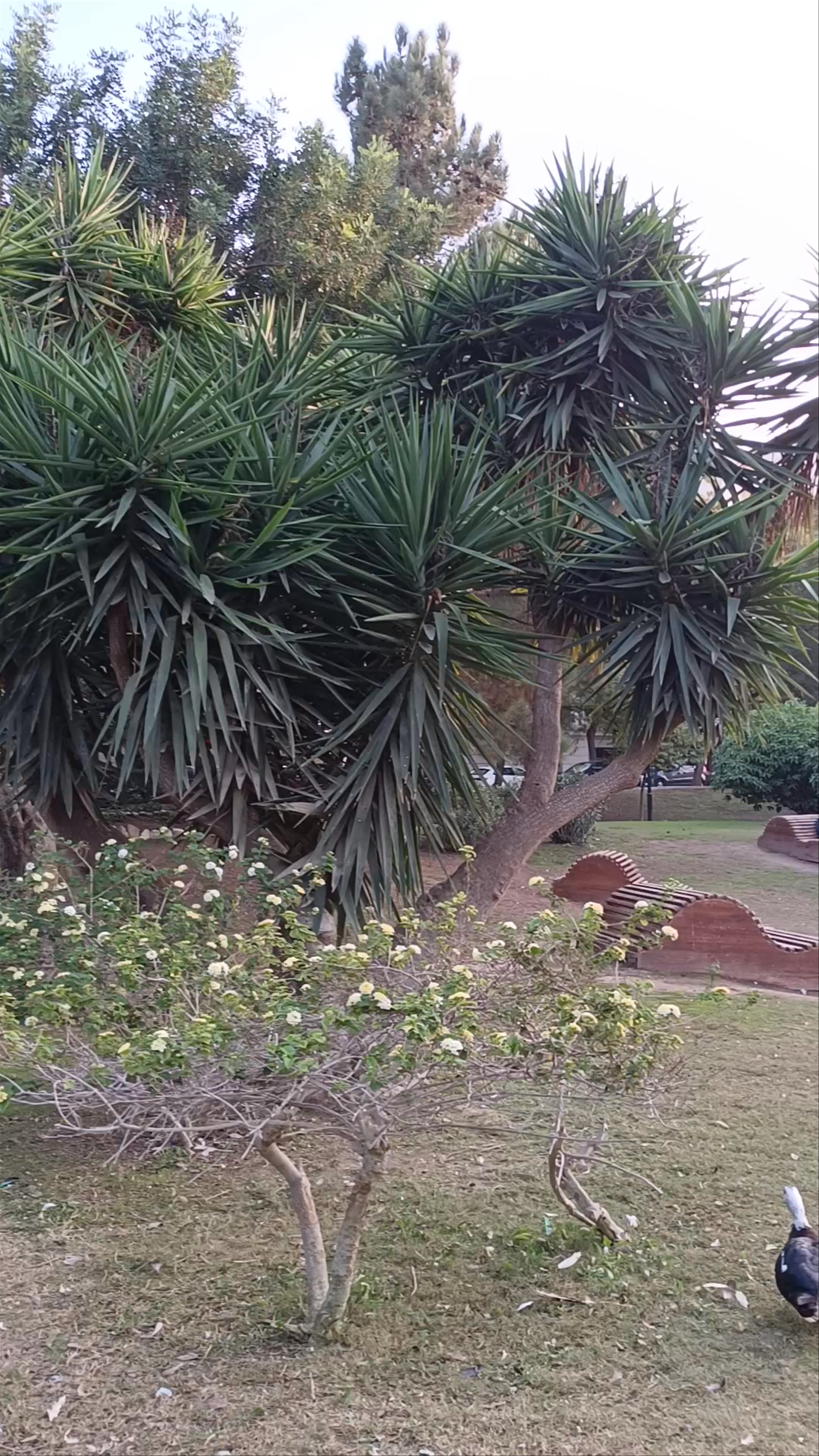 Tranquil Garden Oasis at Palacete Bar De La Seda in Murcia
