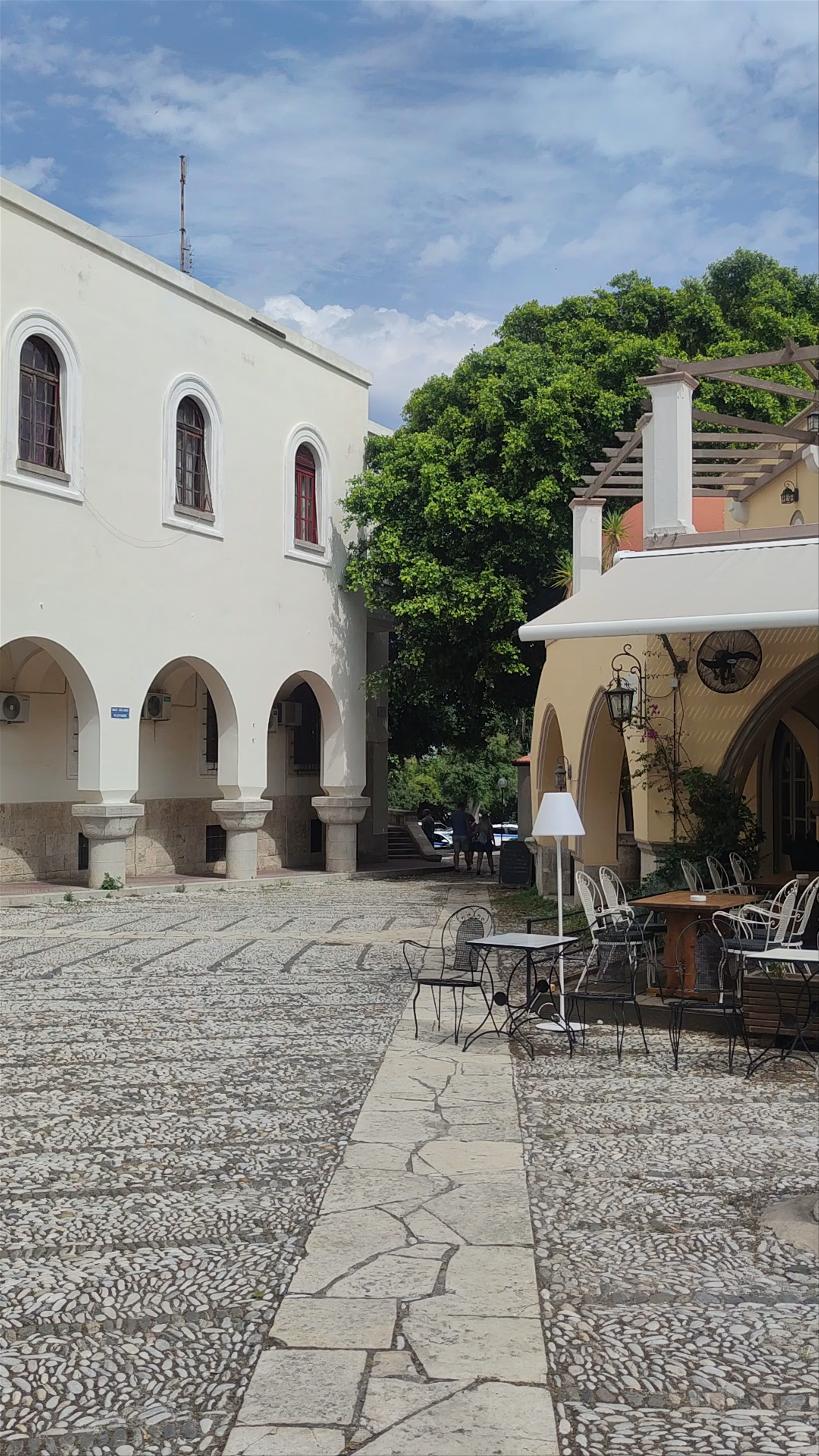 Plane Tree of Hippocrates