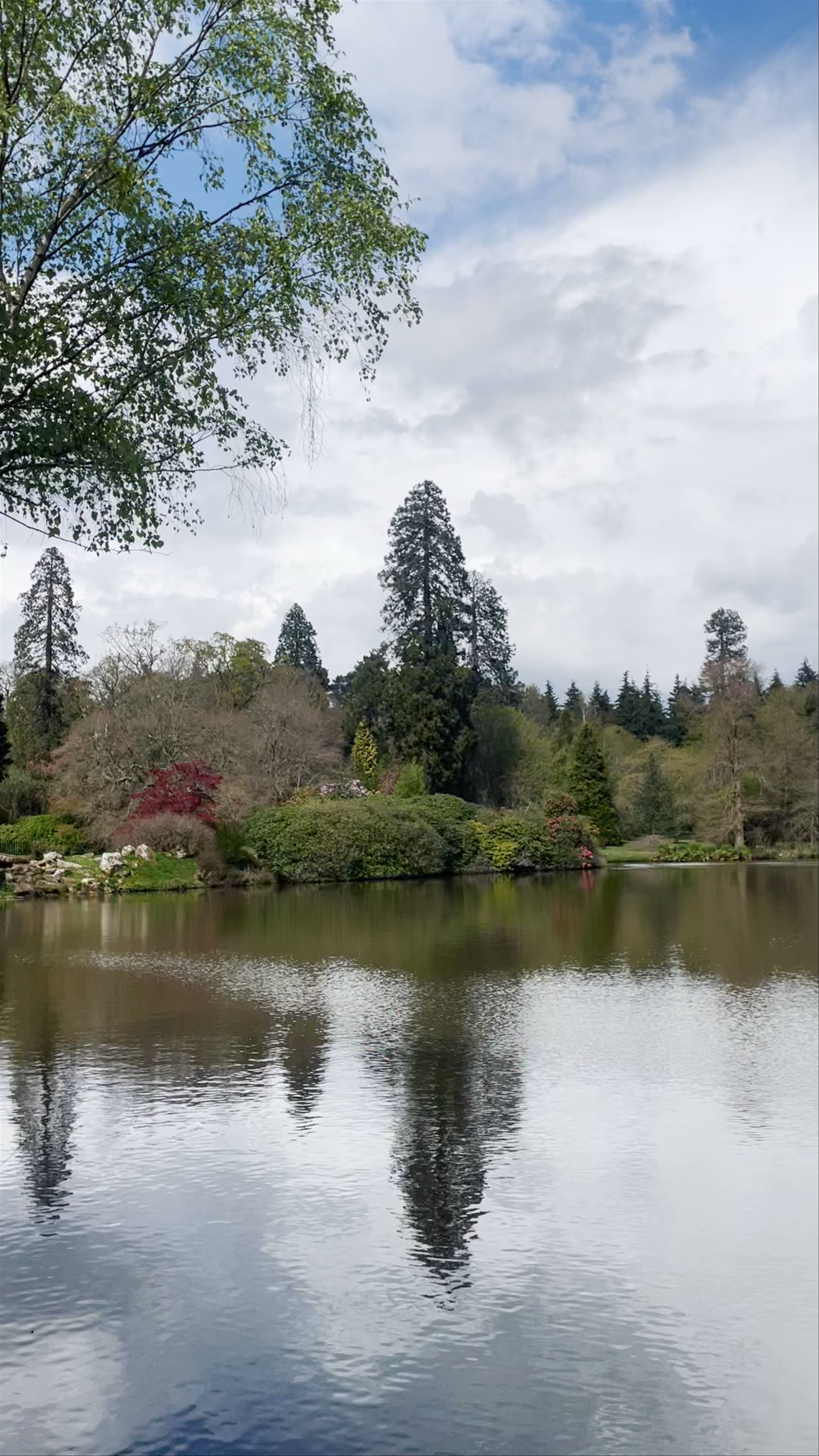 Serene Walk Through Sheffield Park's Stunning Lakes and Woodlands