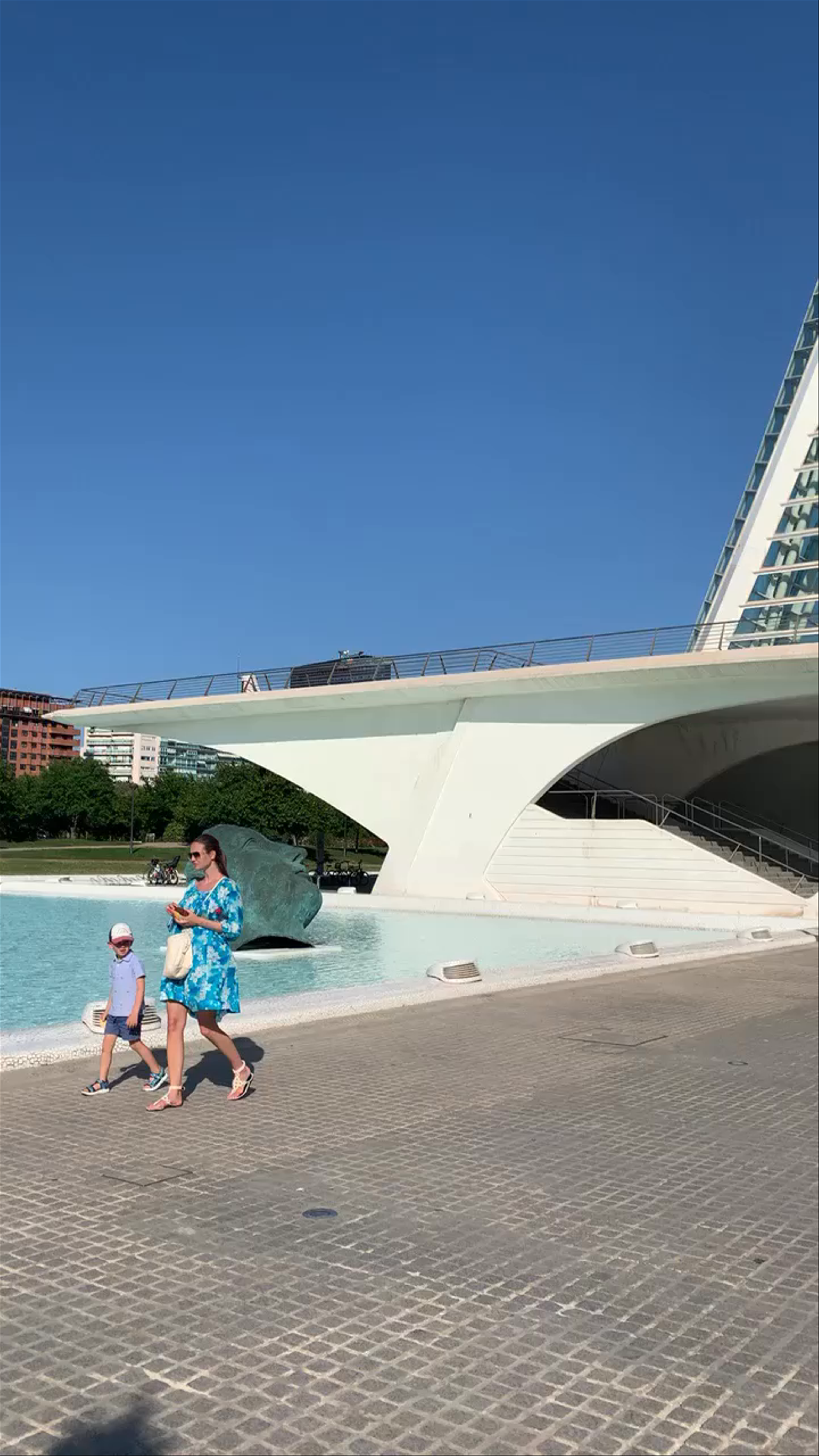 Palacio de las Artes Reina Sofía