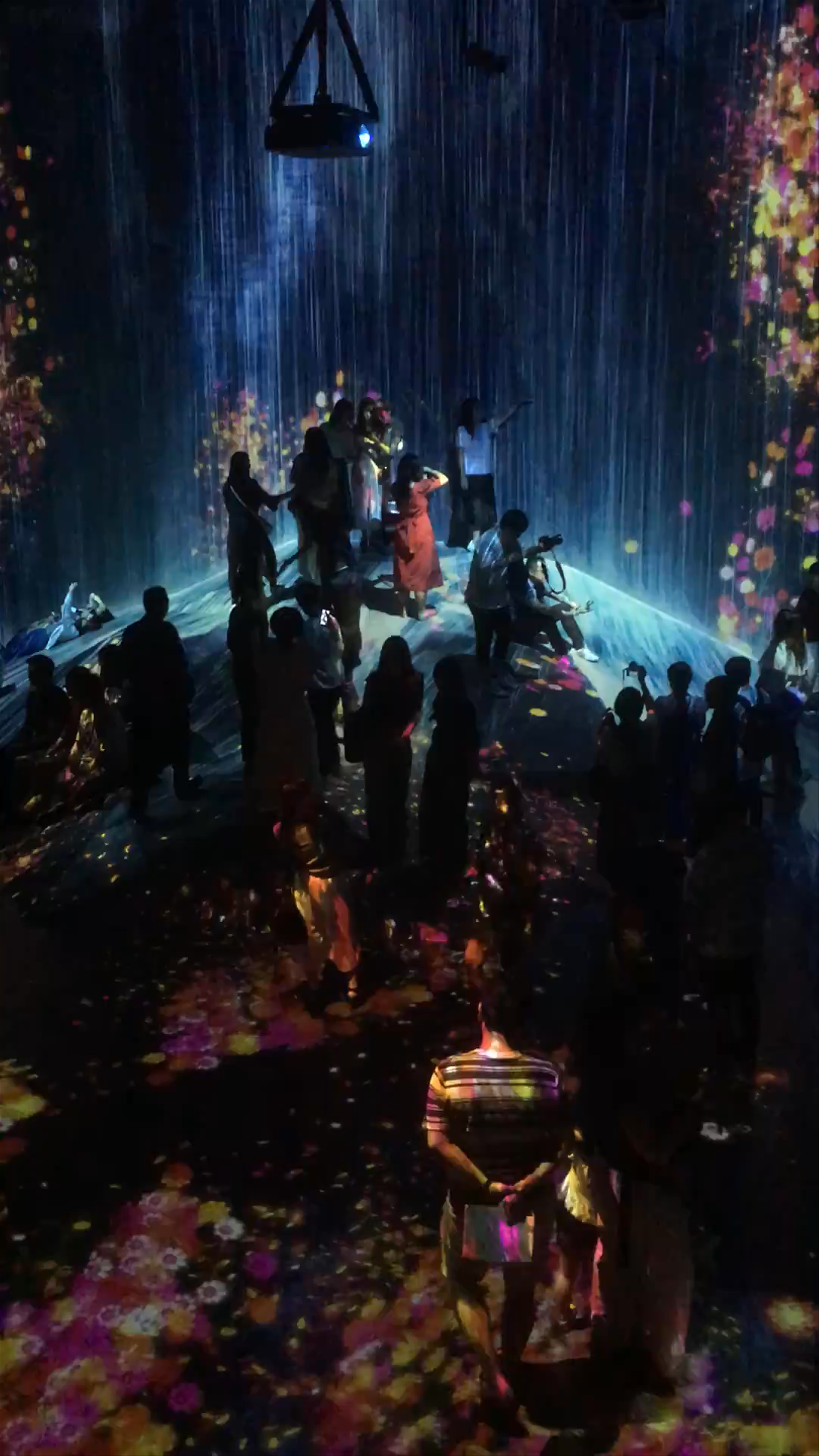 teamLab Borderless: Immersive Digital Art Experience in Tokyo