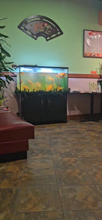 Lucky Panda Cafe - Very authentic Chinese restaurant. Always love our visits - Chinese Near Me - Lewisville, Texas
