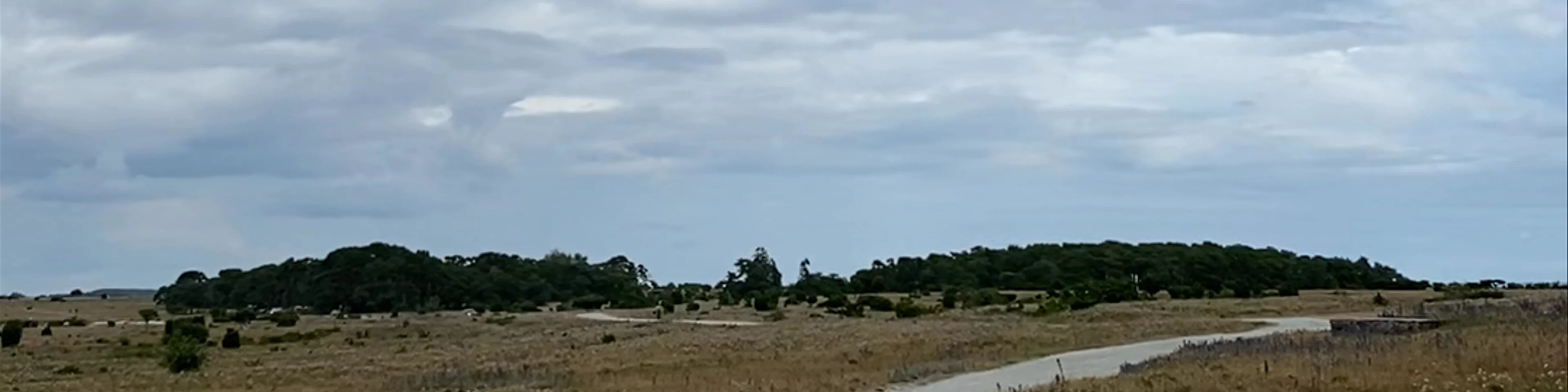 Närsholmen, Stånga, Gotland 