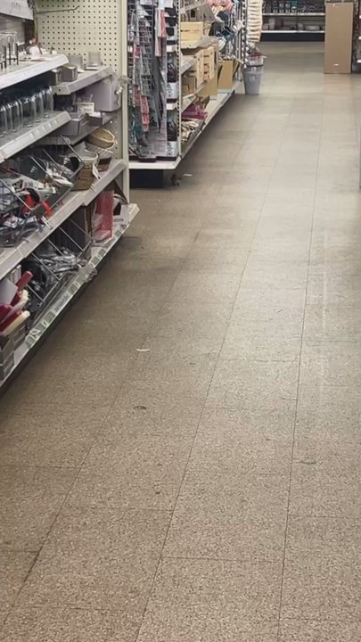 Dollar Tree - Video of live rat in dollar store next to dicks sporting goods and hola - Discount Store Near Me - Pleasant Hill, California
