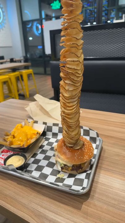Burger Factory - i ordered their regular cheeseburger combo w/ cheese fries. my bf ordered fresh cut fries that came with a sauce. - Burgers Near Me - Lombard, Illinois