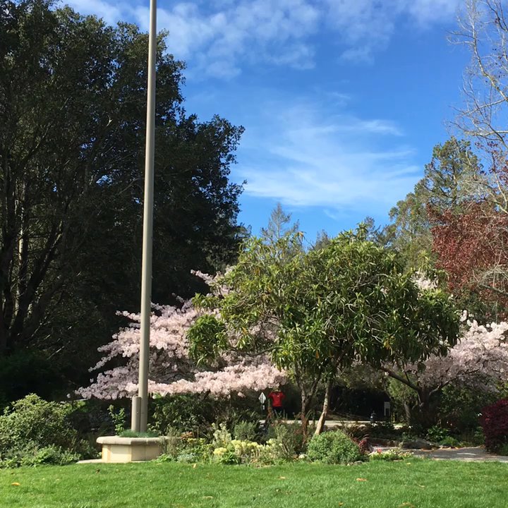Brazilian Room - Brazil room in March part 2 - Venues & Event Spaces Near Me - Berkeley, California