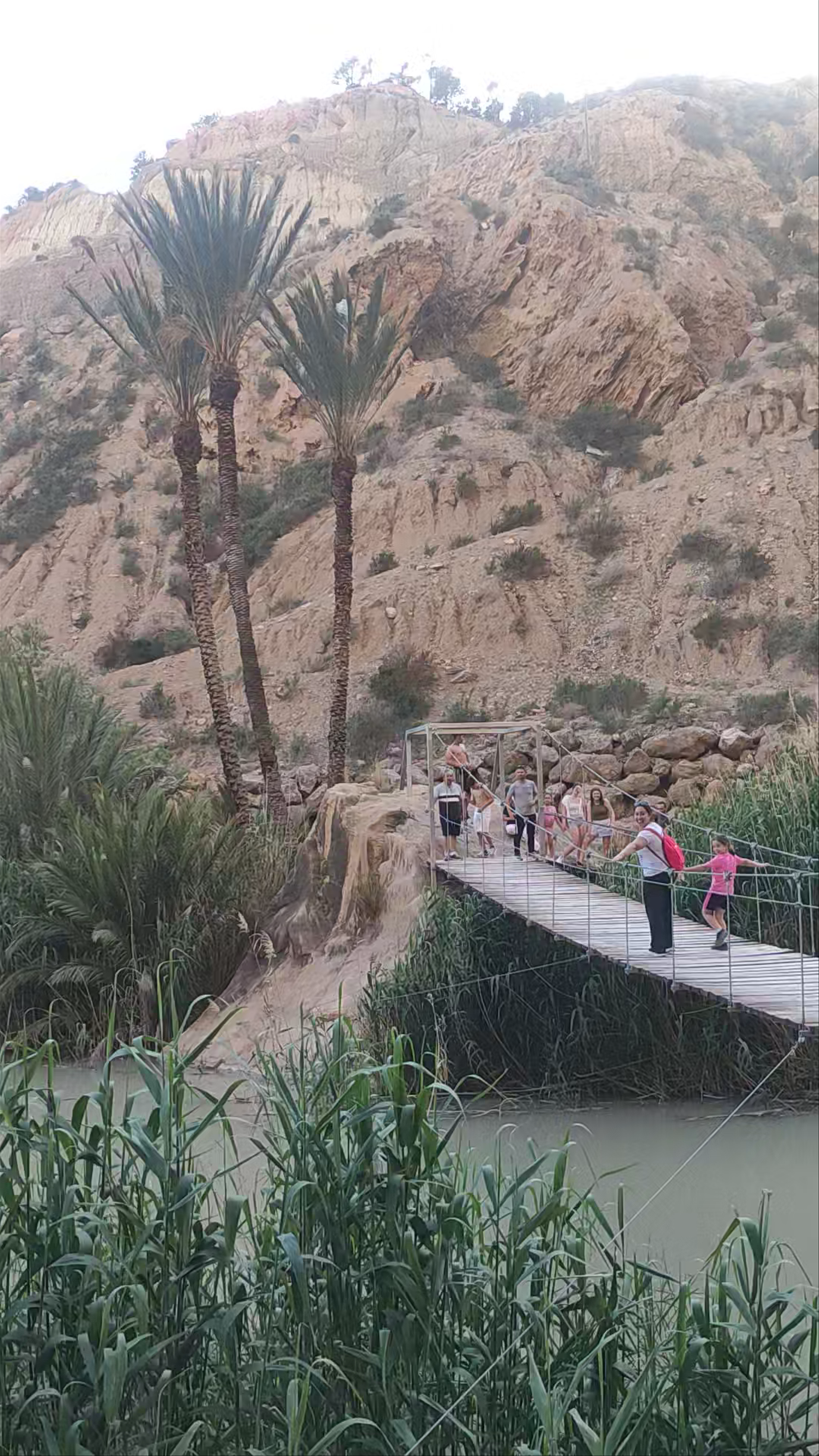 Puente Colgante Tibetano del Solvente