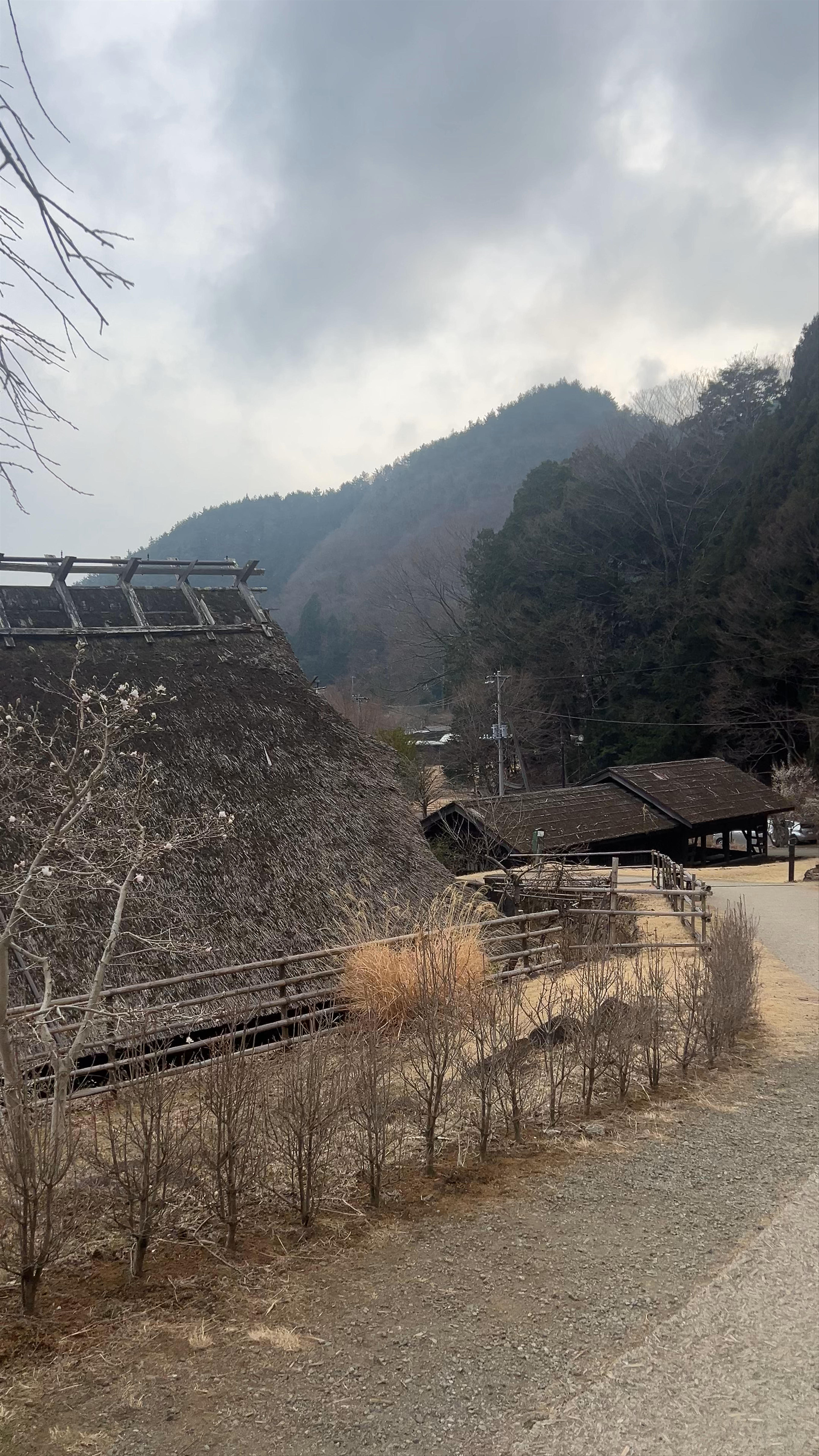 Saiko Iyashi-no-Sato Nenba: Tradition and Tranquility in a Japanese Mountain Village