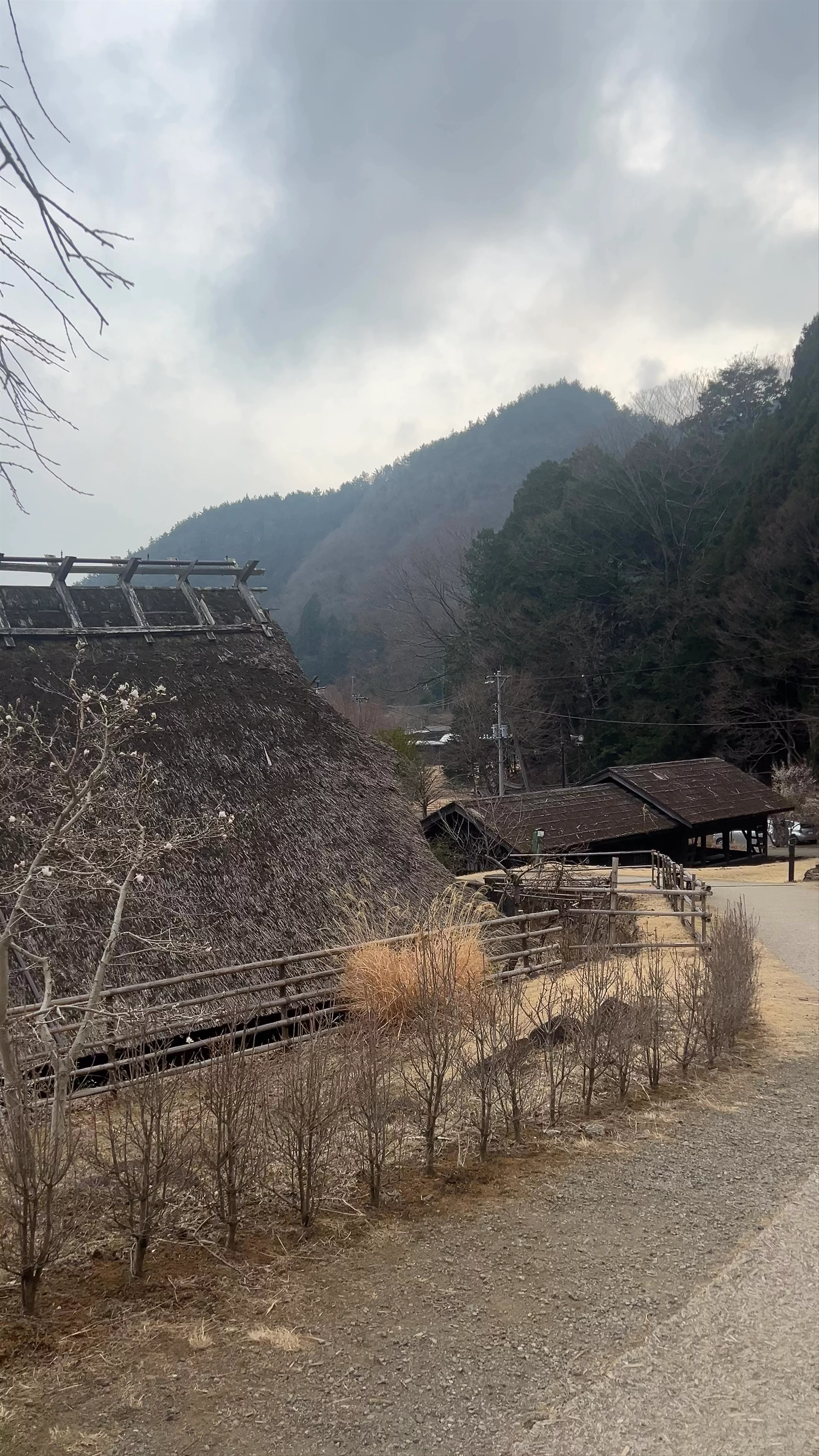 Saiko Iyashi-no-Sato Nenba (Traditional Japanese Village)