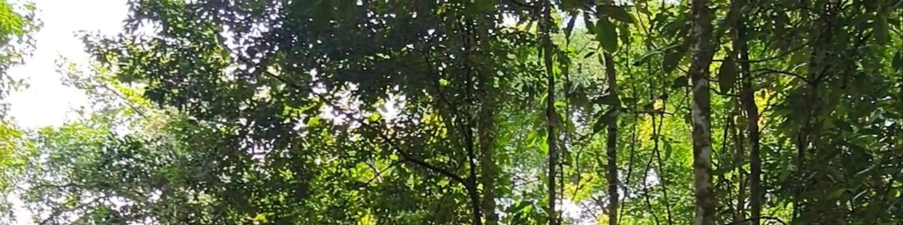 Kubah National Park