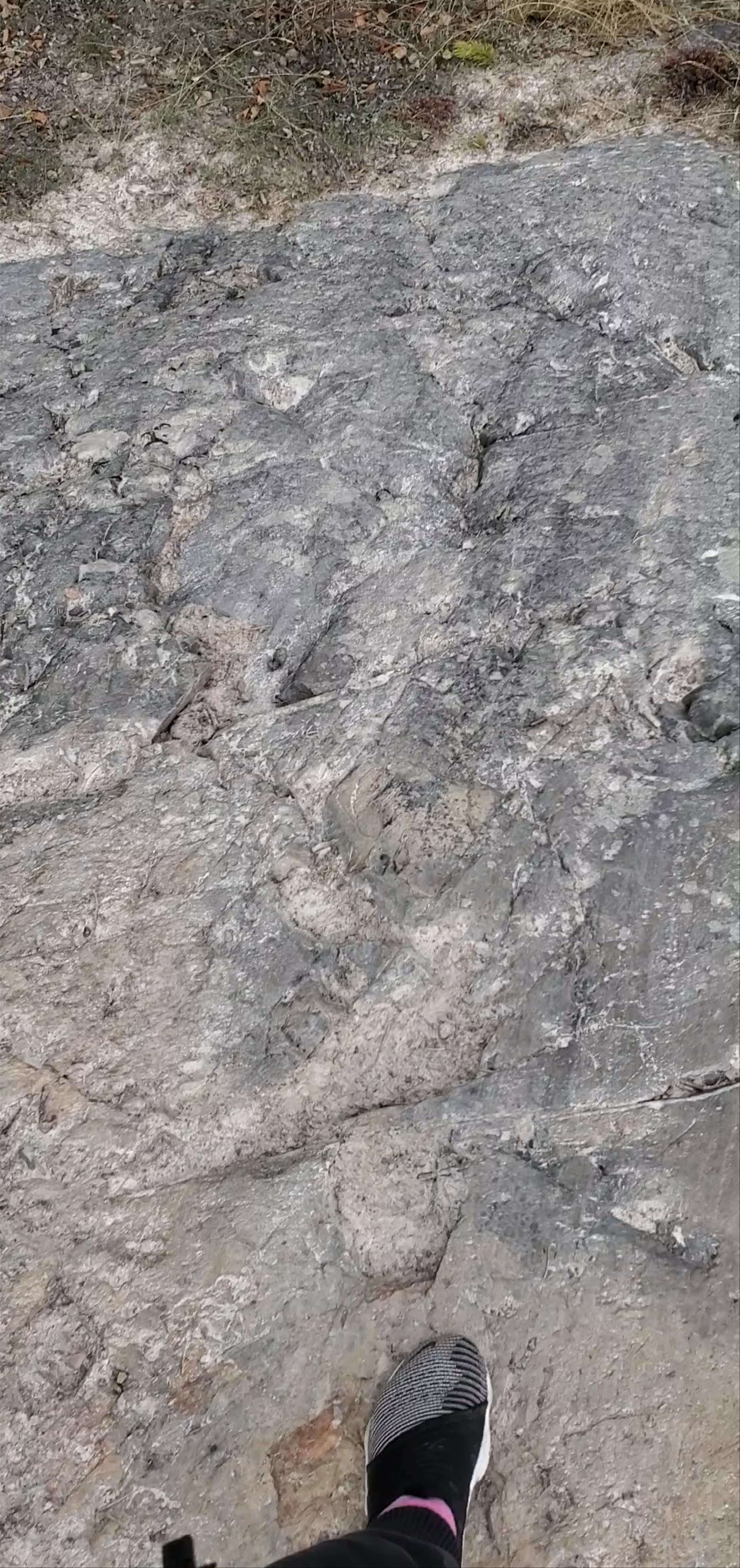 Hidden Lake Territorial Park Cameron Falls Trail