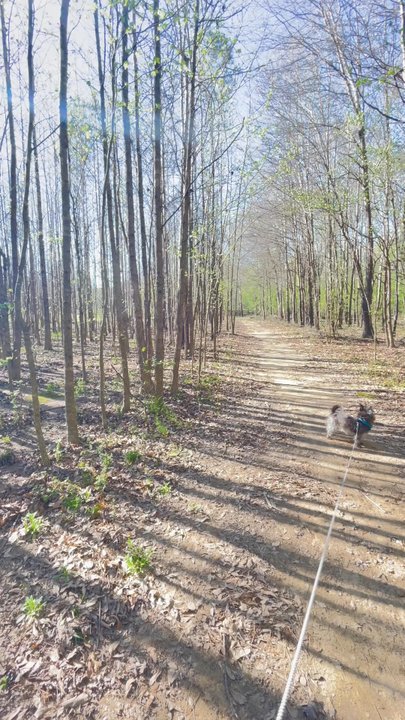 Catherine's Landing, an RVC Outdoor Destination - Campgrounds Near Me - Hot Springs, Arkansas