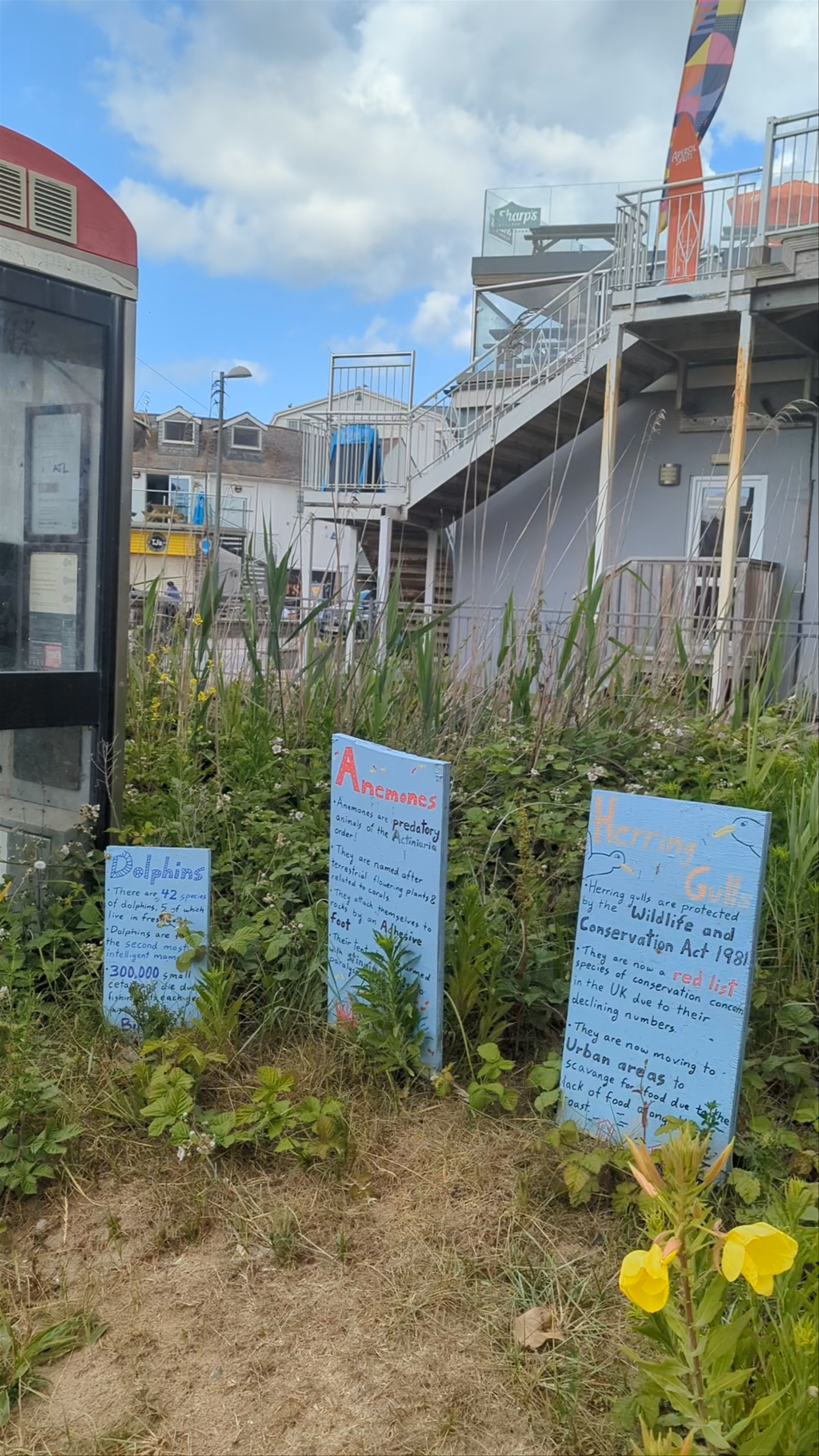 Polzeath Marine Centre