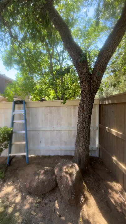 Maplewood Landscaping - New fence in Gold River! - Landscaping Near Me