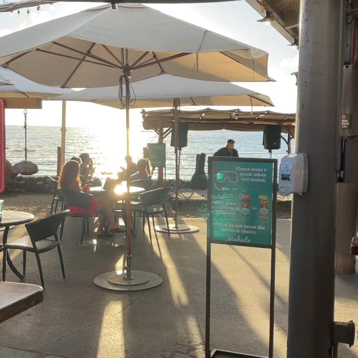 Don The Beachcomber - Bars Near Me - Kailua-Kona, Hawaii