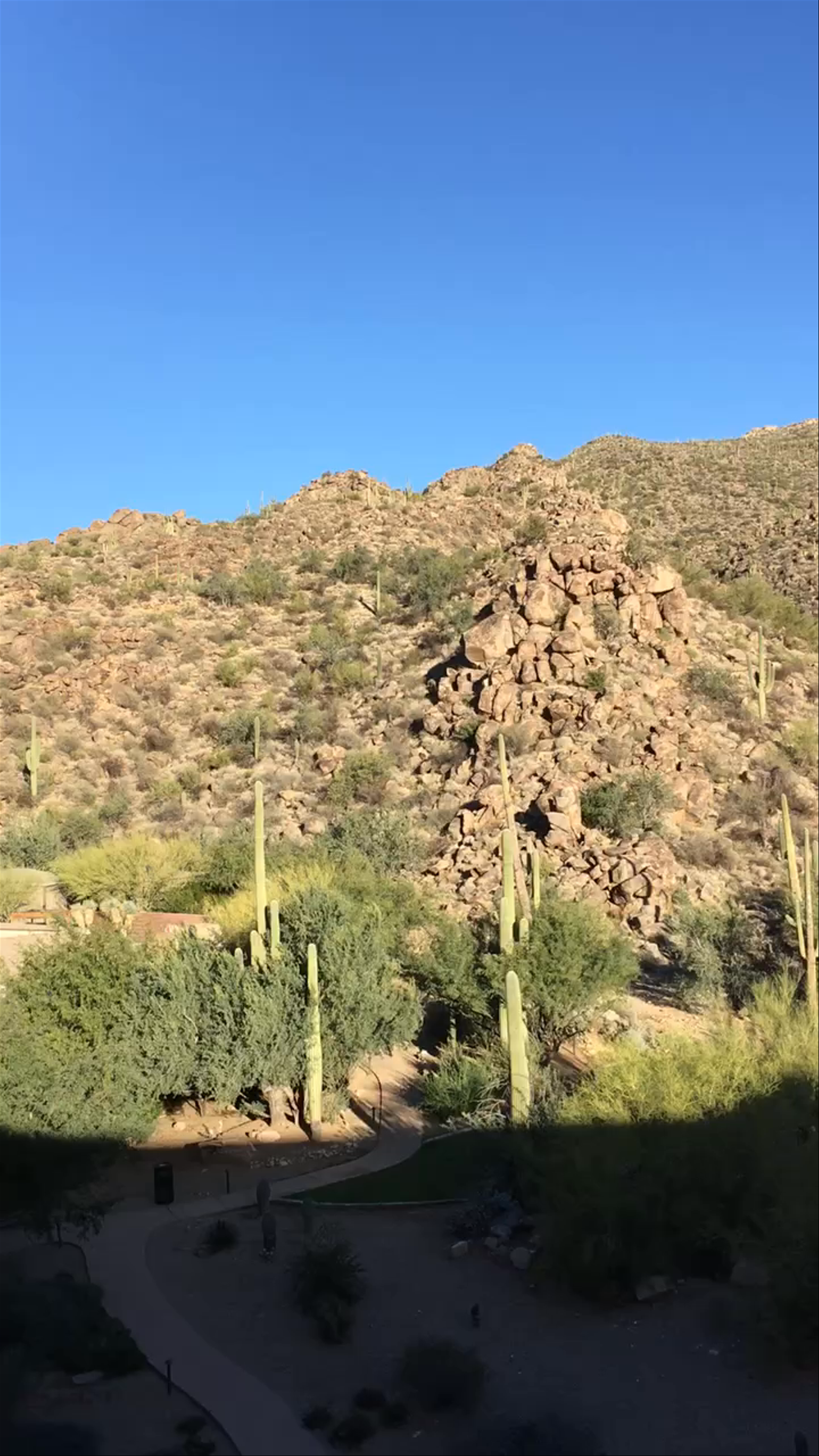 The Ritz-Carlton Dove Mountain 
