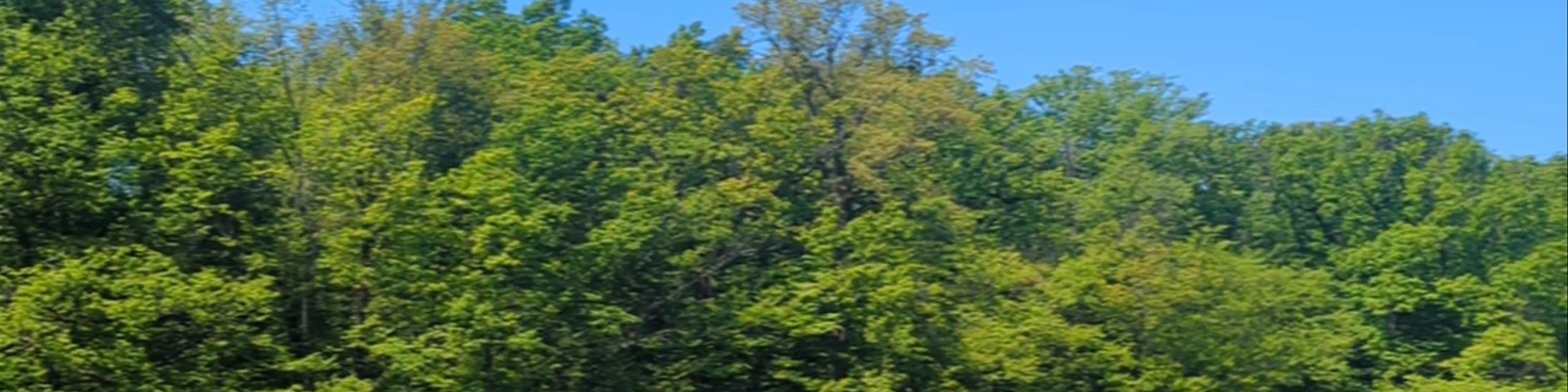 Park Maksimir